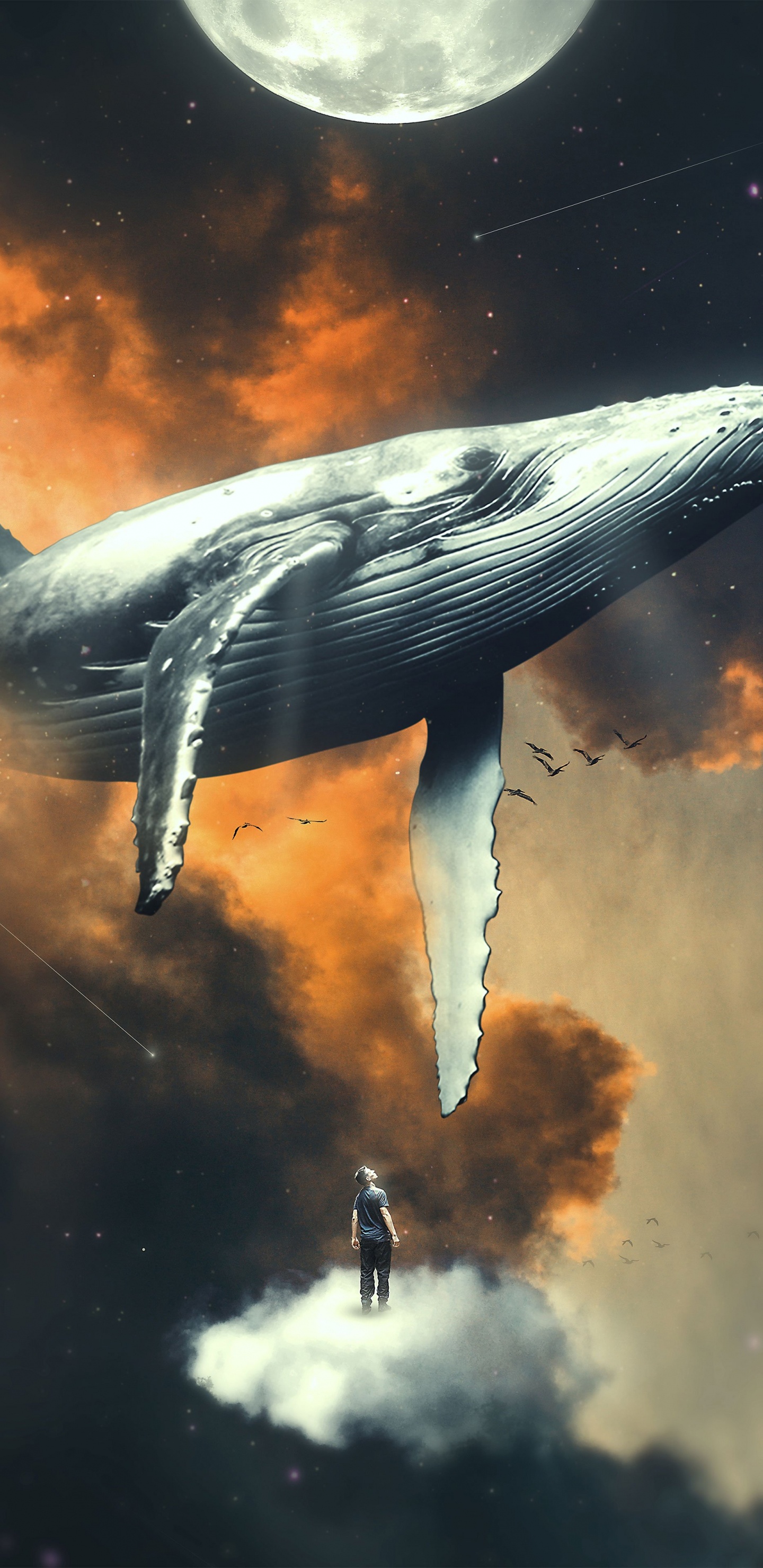 Agua, Icanvas, Impresión de Arte, Arte, Arte de la Pared de la Lona. Wallpaper in 1440x2960 Resolution