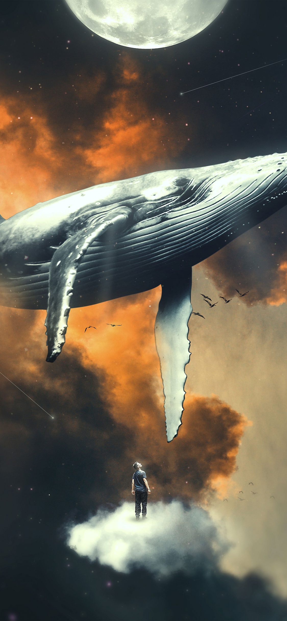 Eau, Icanvas, Impression D'art, Art, Art Mural Toile. Wallpaper in 1125x2436 Resolution