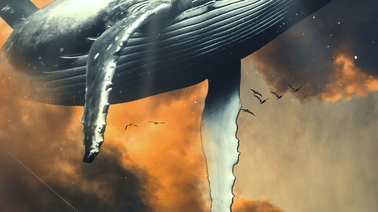 Eau, Icanvas, Impression D'art, Art, Art Mural Toile. Wallpaper in 1280x720 Resolution