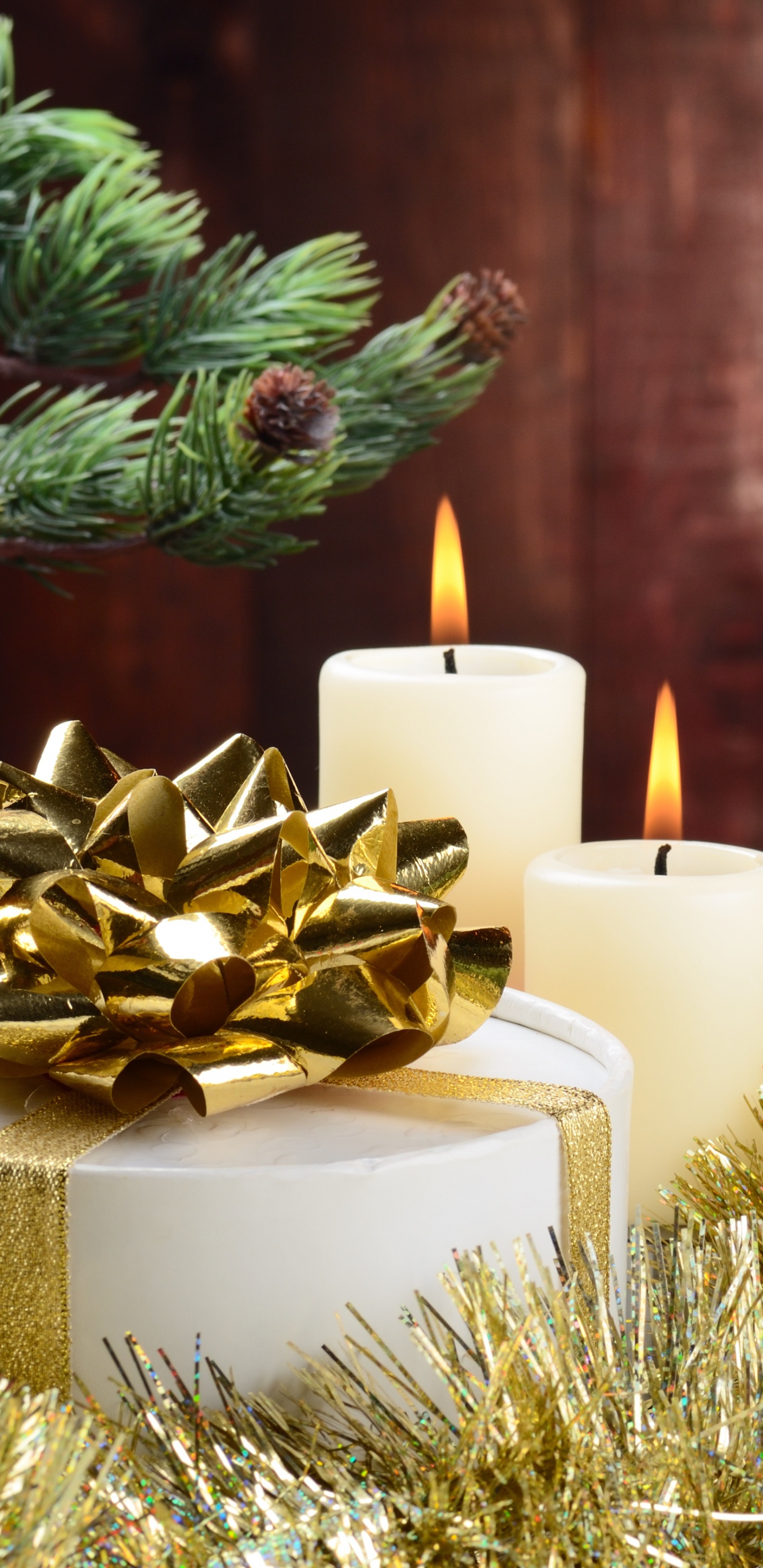 Décoration de Noël, Sapin, Famille Des Pins, Souhait, Liesse. Wallpaper in 1440x2960 Resolution