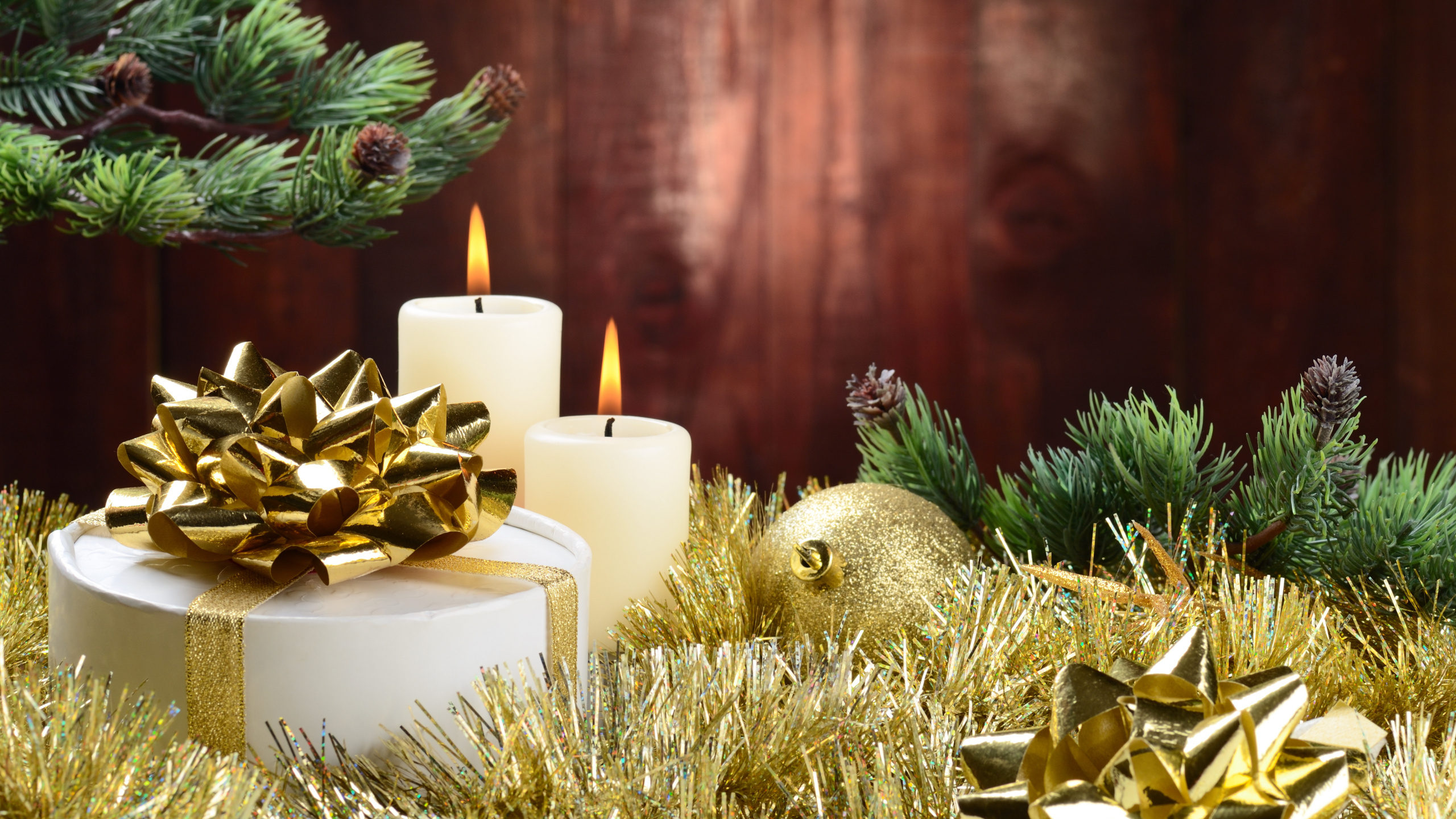 Tree, Christmas Decoration, Christmas, Fir, Pine Family. Wallpaper in 2560x1440 Resolution