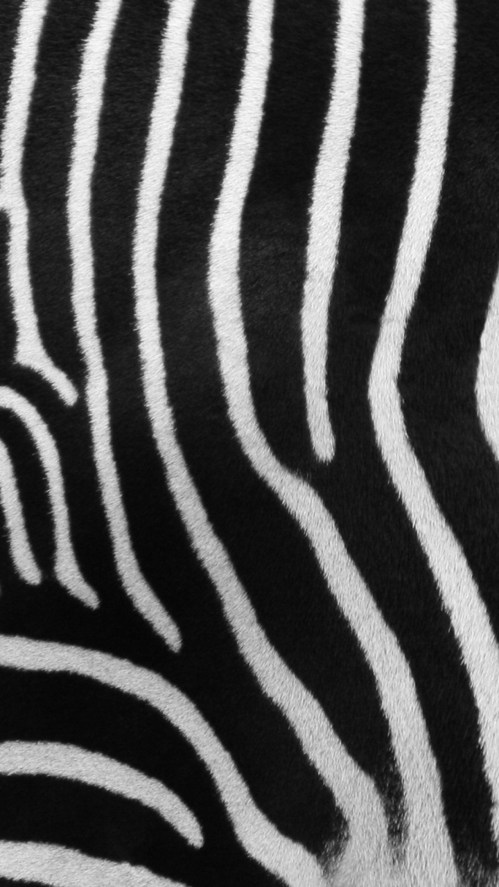 Schwarz-weißes Zebra-Textil. Wallpaper in 720x1280 Resolution