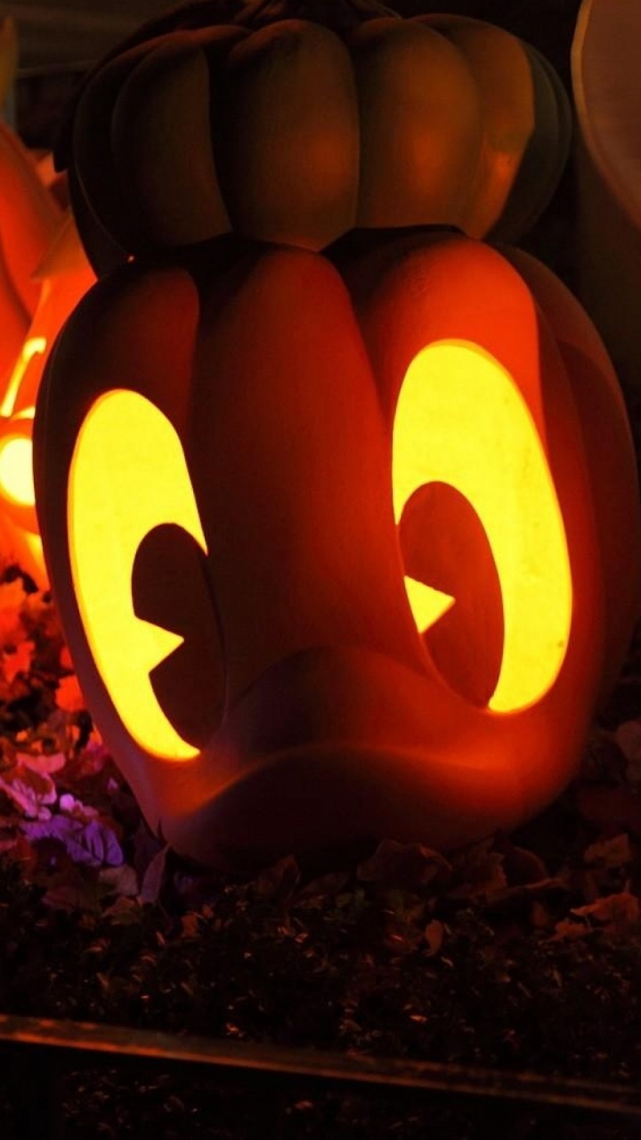 Halloween, Calabaza, Calabaza de Invierno, Cucurbita, Talla. Wallpaper in 720x1280 Resolution