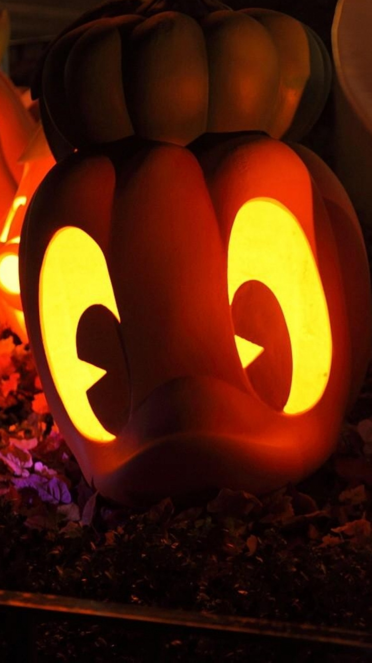 Halloween, Citrouille, Calabaza, Les Courges D'hiver, Cucurbita. Wallpaper in 750x1334 Resolution