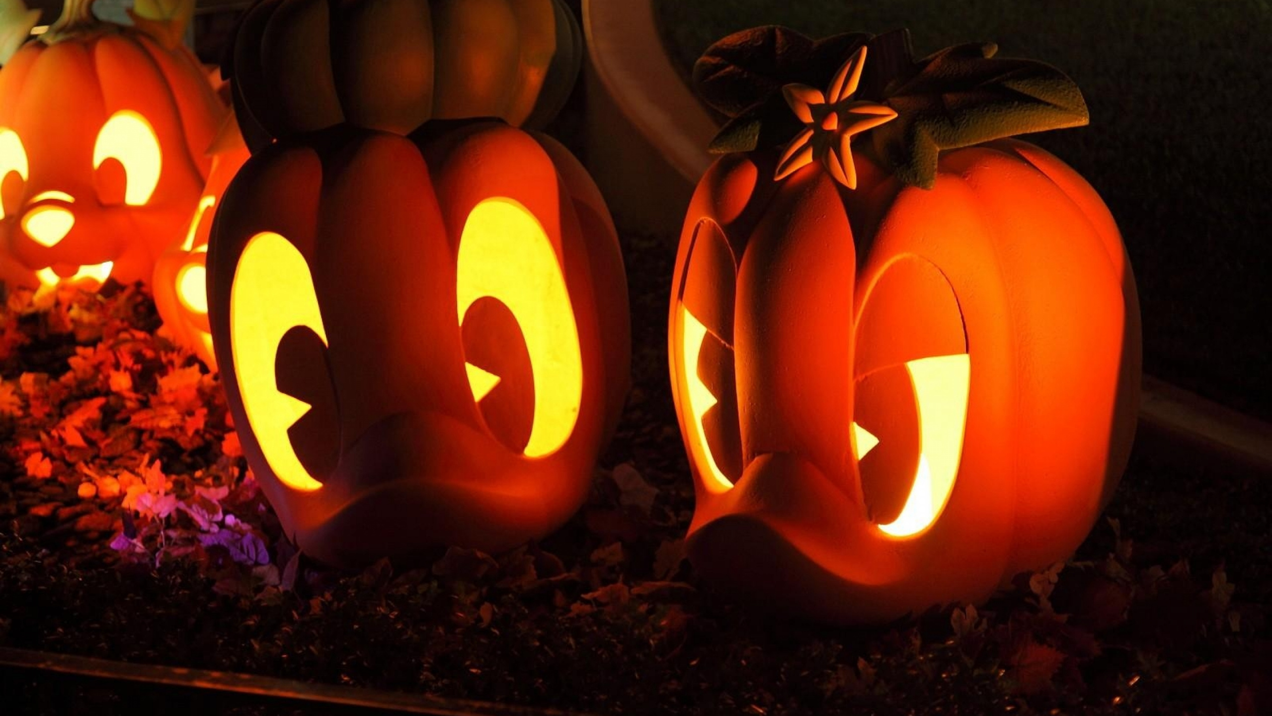 万圣节, 假日, Calabaza, 冬南瓜, 南瓜 壁纸 2560x1440 允许