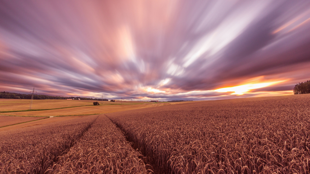 Brown Field Under Blue Sky During Daytime. Wallpaper in 1280x720 Resolution