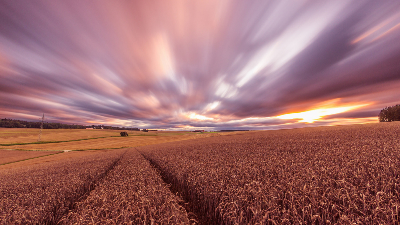 Brown Field Under Blue Sky During Daytime. Wallpaper in 1366x768 Resolution
