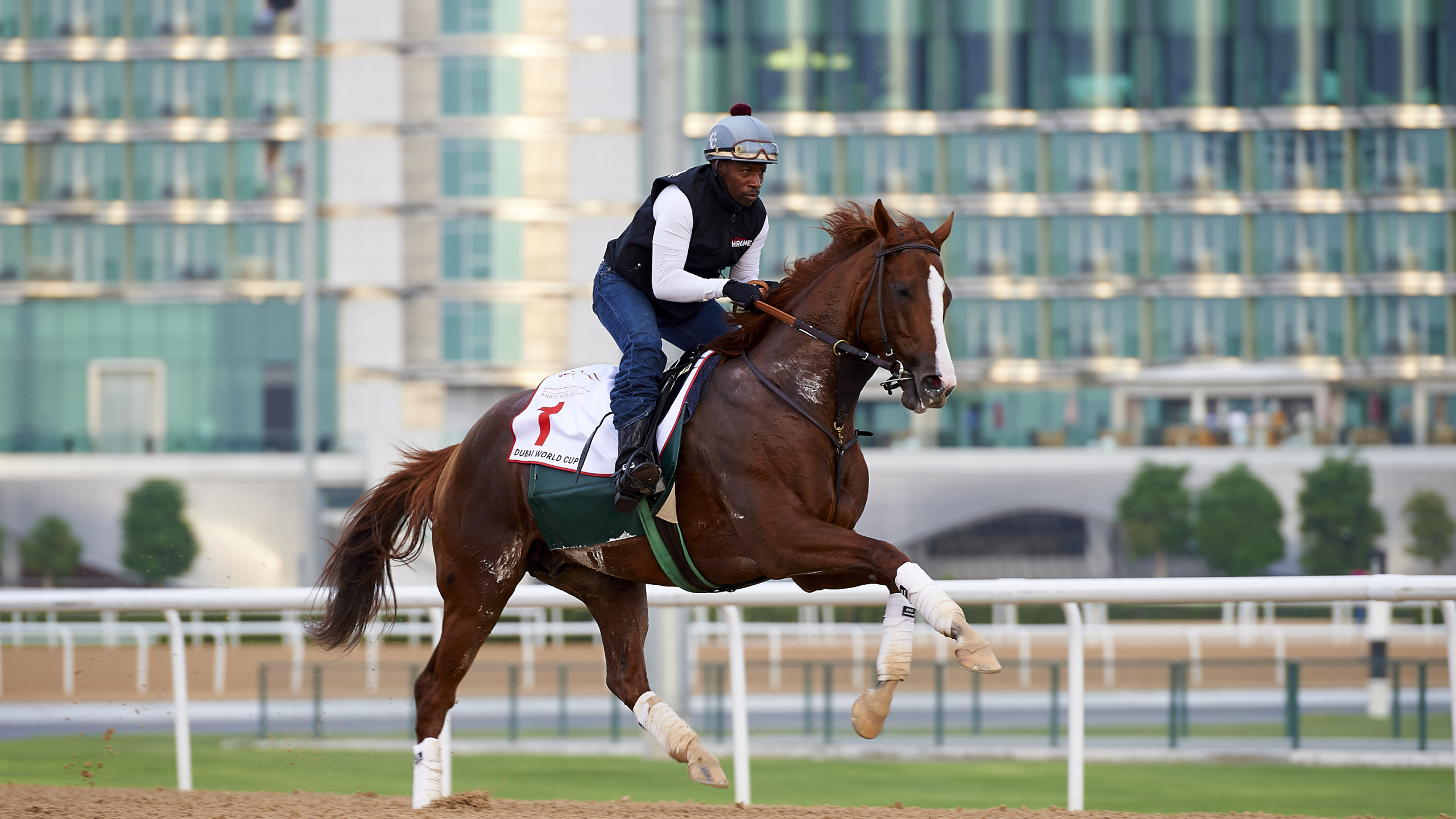 Femme en Bleu et Blanc Chemise à Manches Longues Équitation Cheval Brun Pendant la Journée. Wallpaper in 2560x1440 Resolution