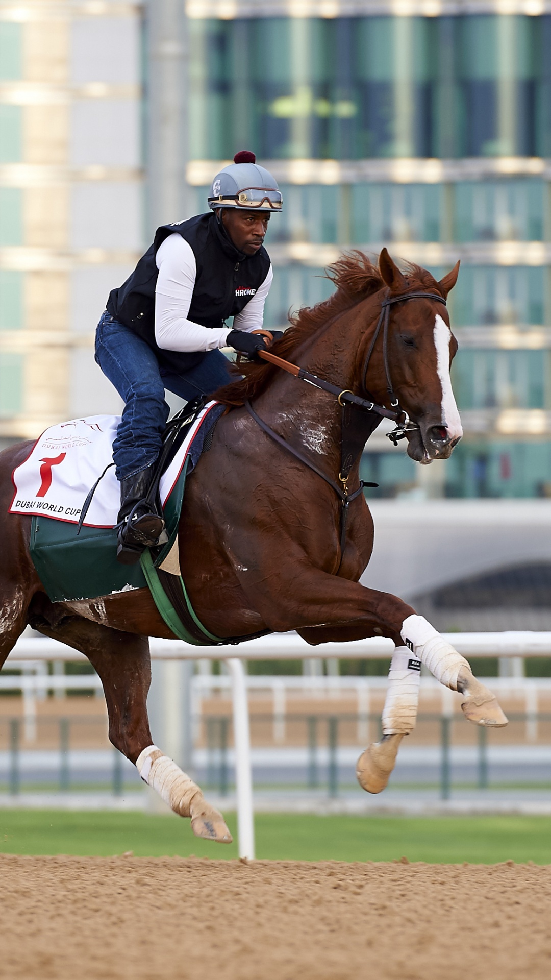 Frau im Blau-weißen Langarmhemd Reitet Tagsüber Auf Einem Braunen Pferd. Wallpaper in 1080x1920 Resolution