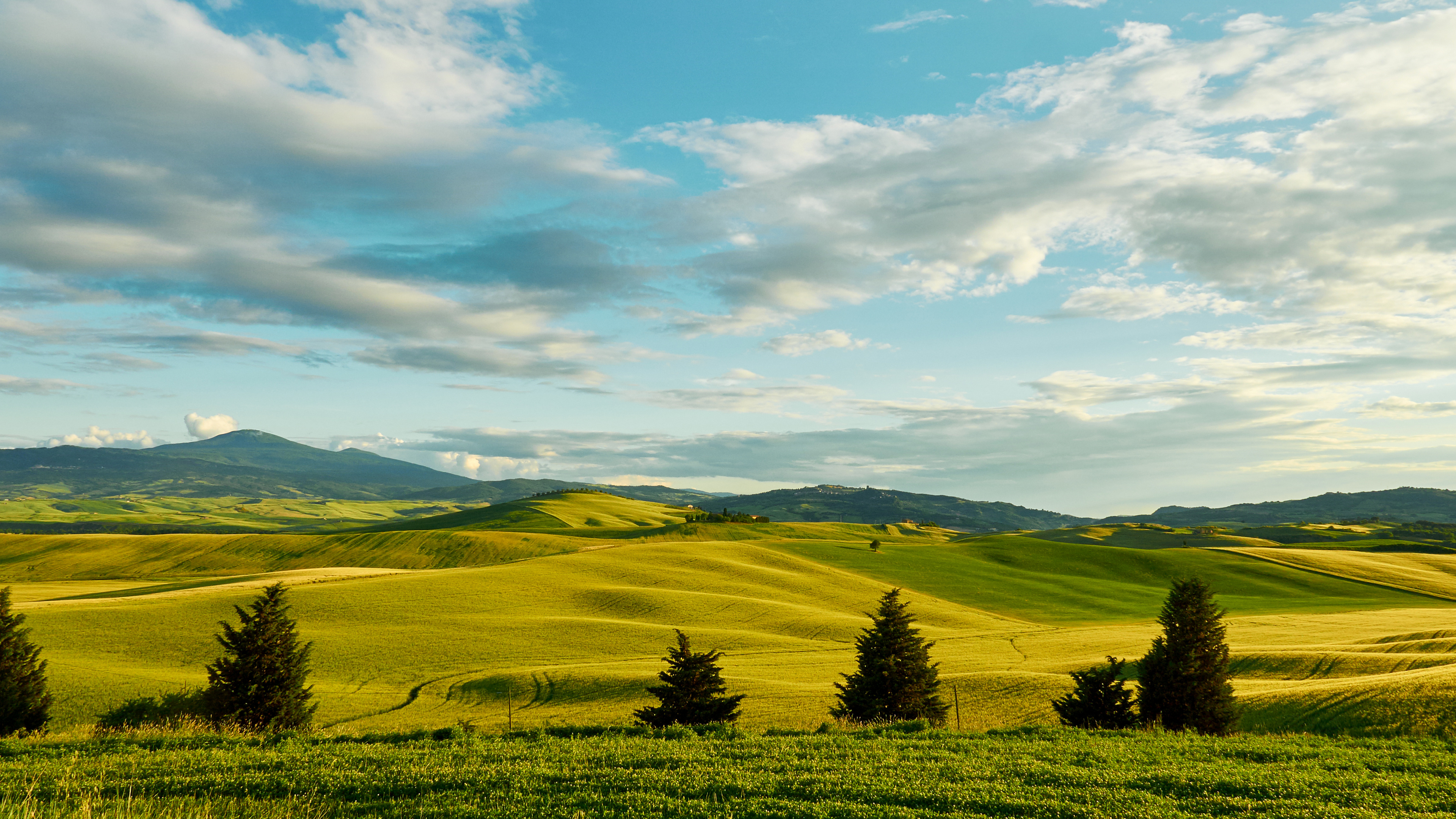 Champ D'herbe Verte Sous un Ciel Nuageux Pendant la Journée. Wallpaper in 3840x2160 Resolution