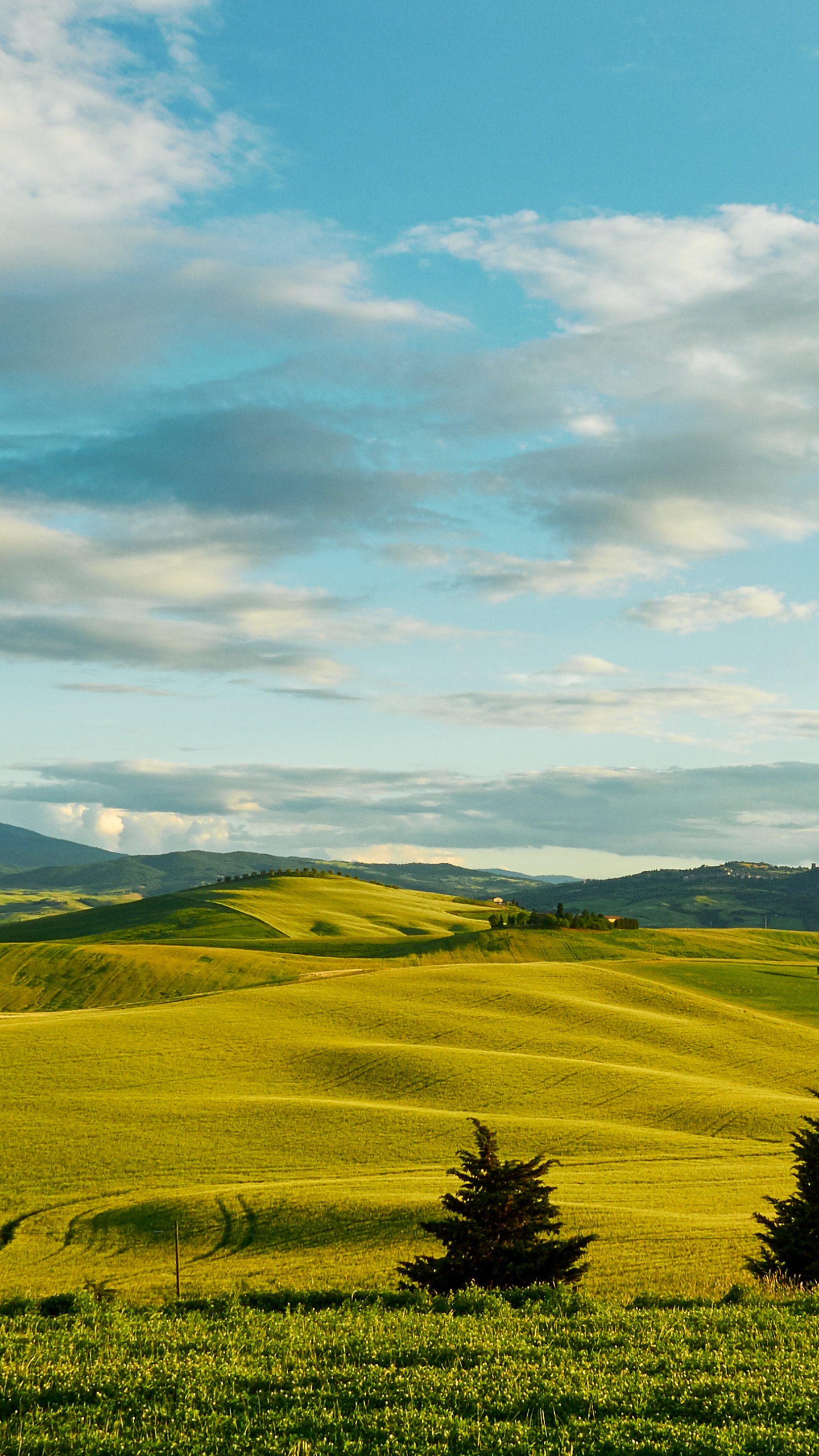 Green Grass Field Under Cloudy Sky During Daytime. Wallpaper in 1440x2560 Resolution