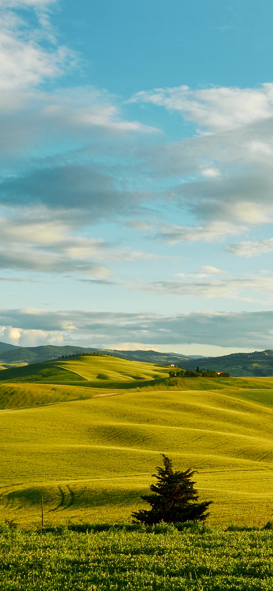 性质, 普通的, 放牧, 托斯卡纳, 天空 壁纸 1125x2436 允许