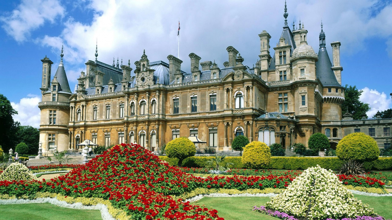 Red Flowers Near Brown Concrete Building During Daytime. Wallpaper in 1366x768 Resolution