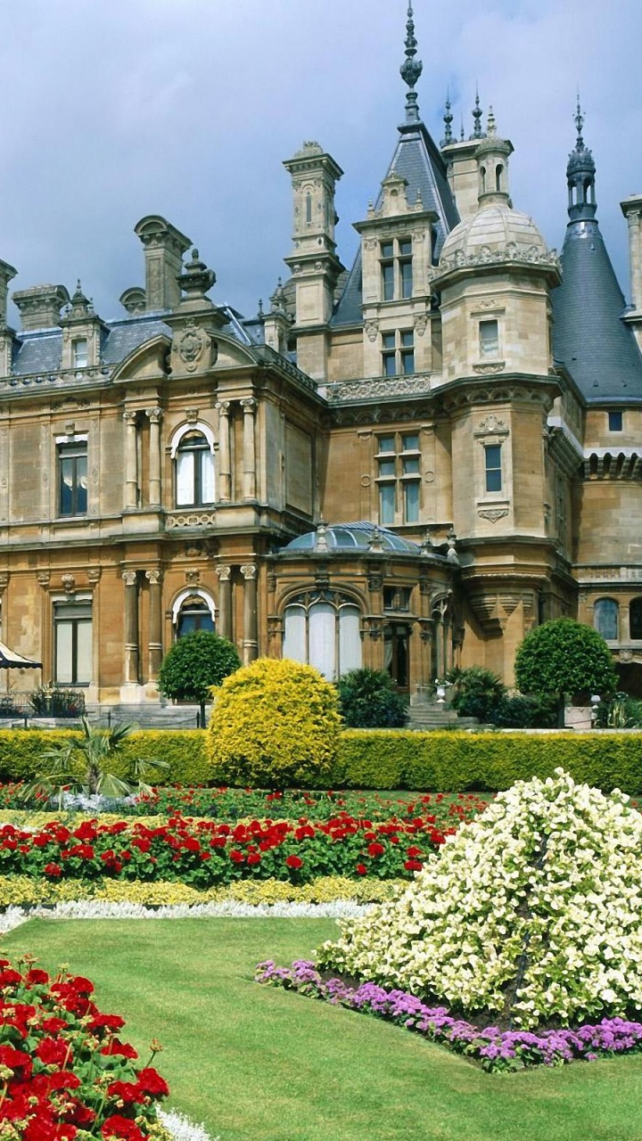 Red Flowers Near Brown Concrete Building During Daytime. Wallpaper in 720x1280 Resolution