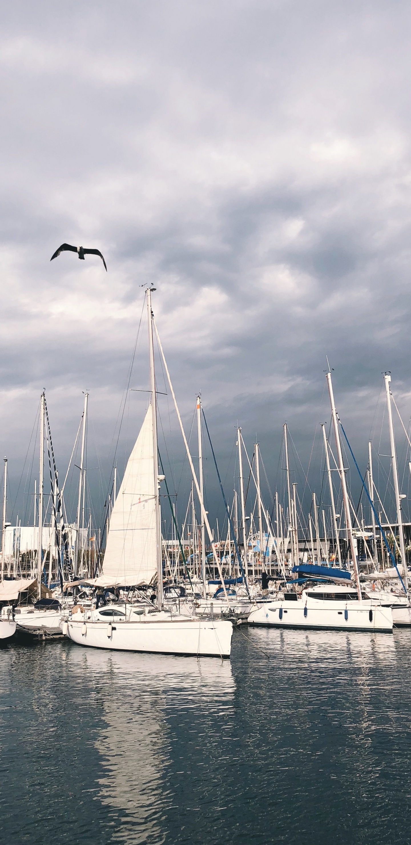 Marina, Mástil, Agua, Barco, Velero. Wallpaper in 1440x2960 Resolution