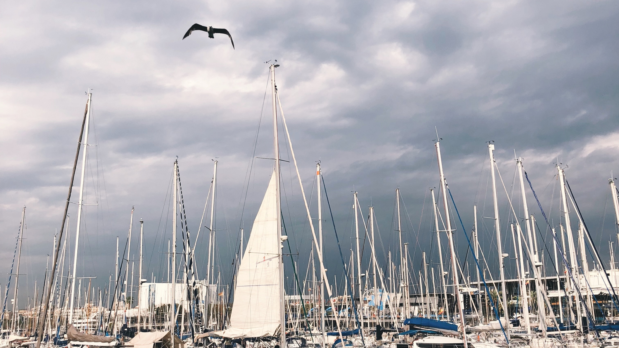 Marina, Segel, Mast, Wasser, Boot. Wallpaper in 2560x1440 Resolution