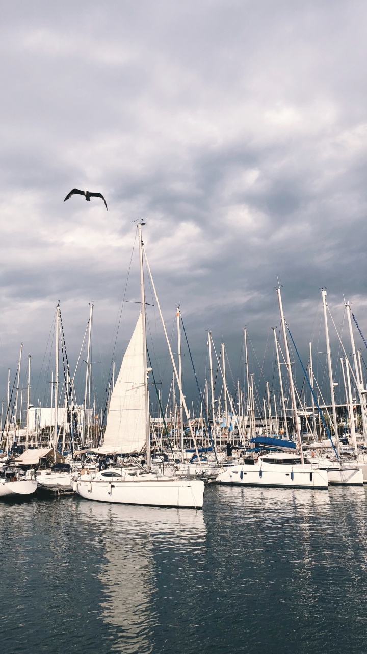 Marina, Voile, Mât, Eau, Bateau. Wallpaper in 720x1280 Resolution