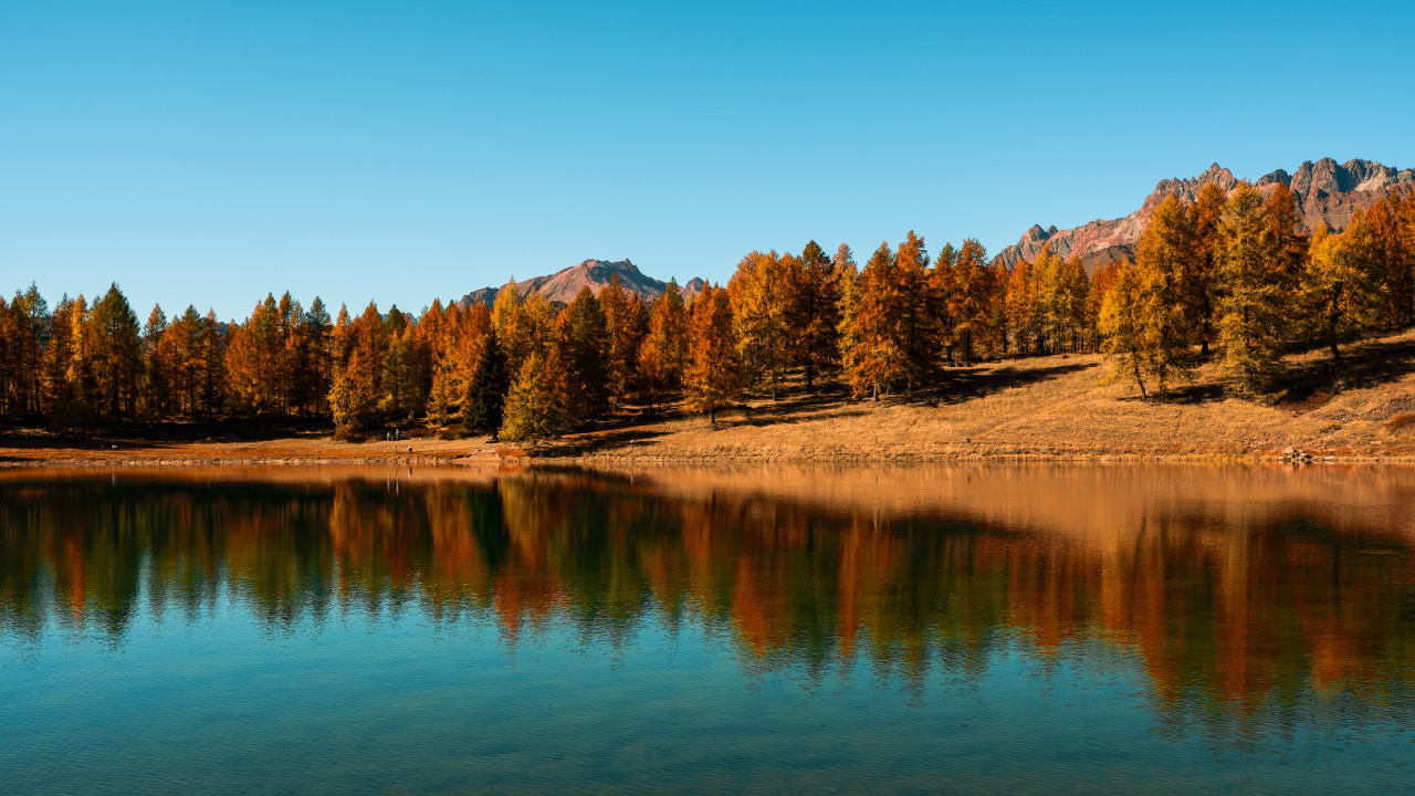 Brown Trees Near Lake Under Blue Sky During Daytime. Wallpaper in 1280x720 Resolution