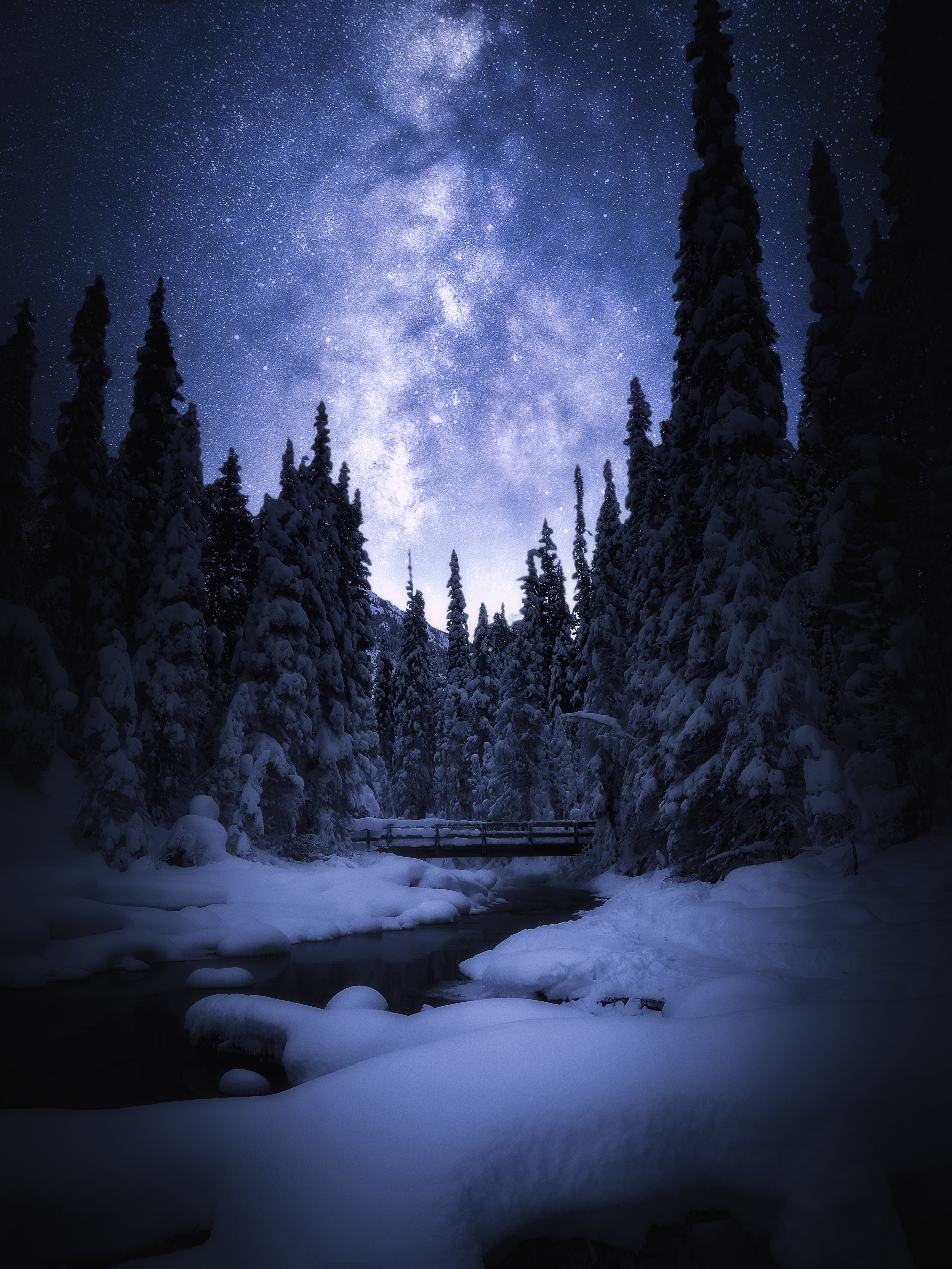 Winter Night Images  Free Download on Freepik