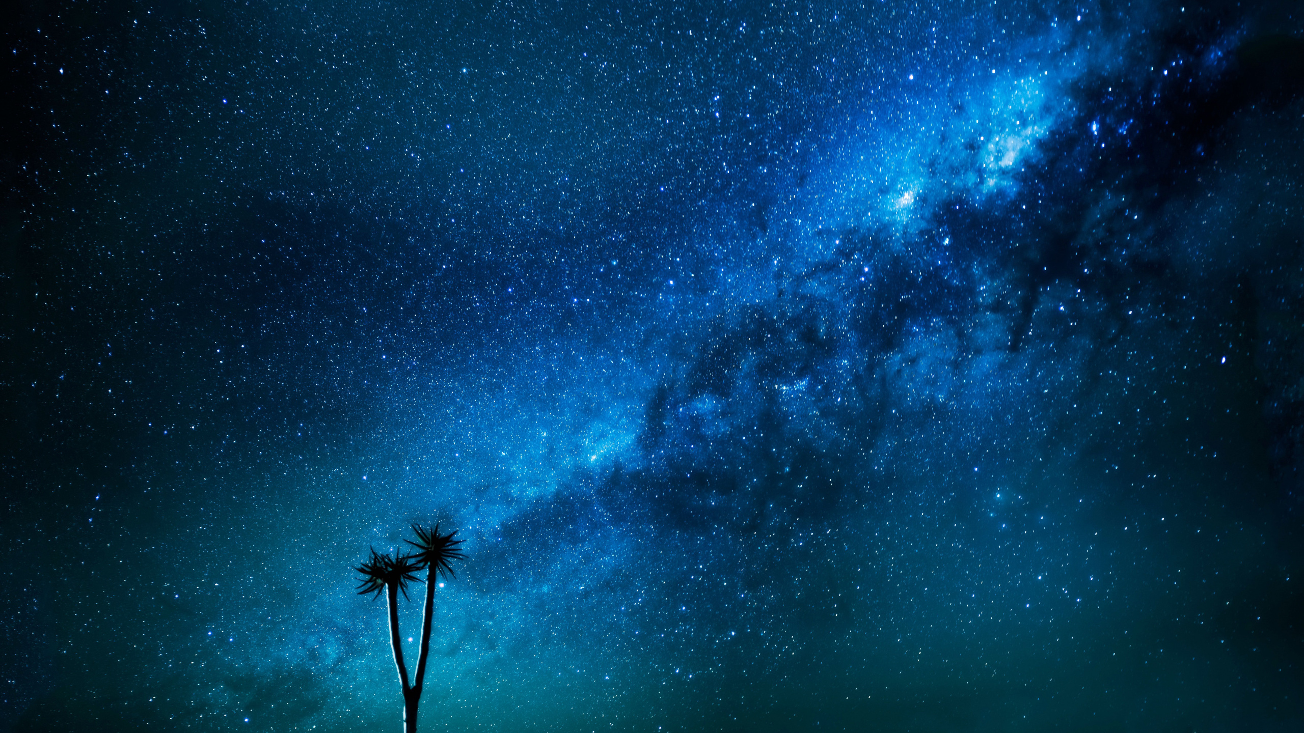 Silueta de Persona de Pie Bajo la Noche Estrellada. Wallpaper in 2560x1440 Resolution