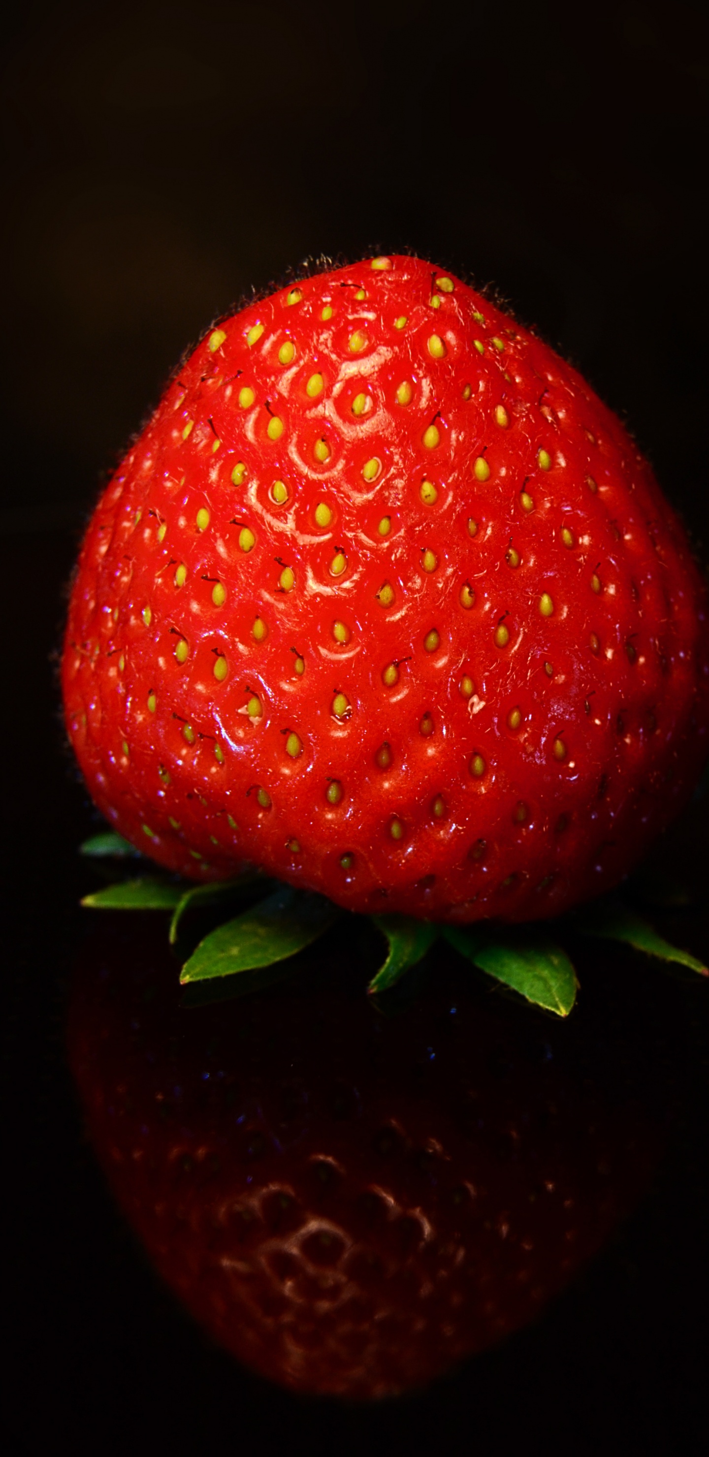 Red Strawberry Fruit in Close up Photography. Wallpaper in 1440x2960 Resolution