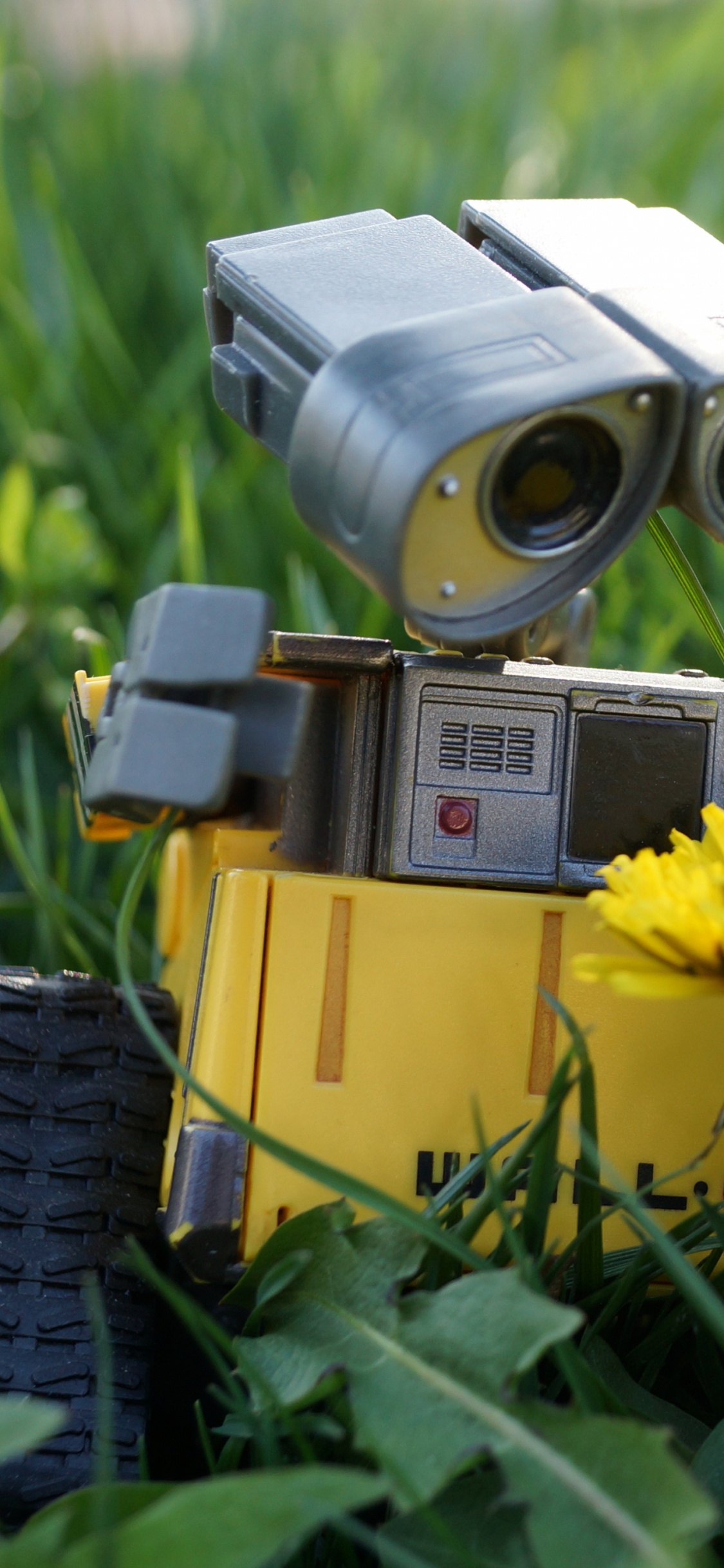 Yellow Sunflower Beside Silver Camera on Green Grass During Daytime. Wallpaper in 1125x2436 Resolution
