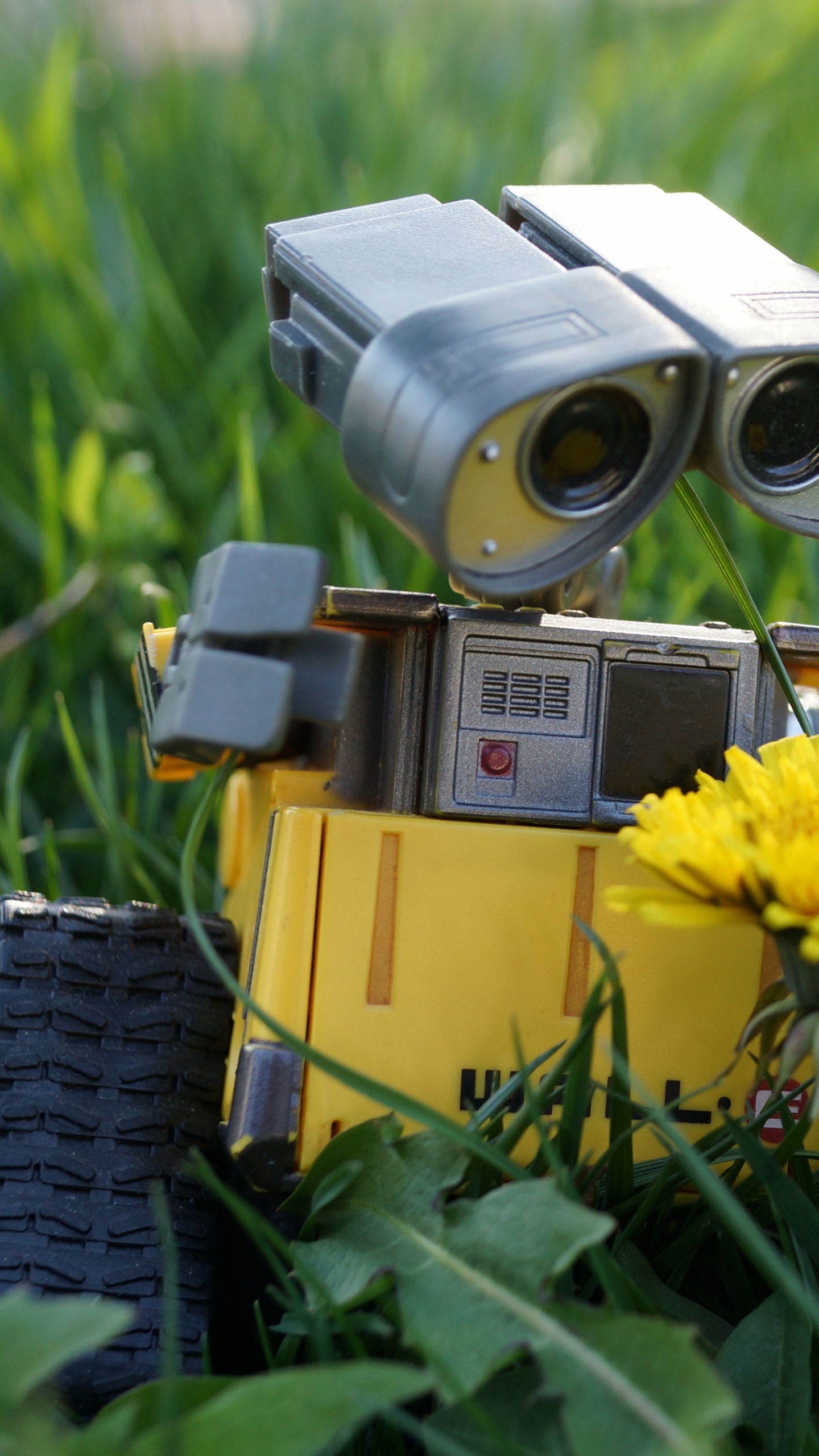 Yellow Sunflower Beside Silver Camera on Green Grass During Daytime. Wallpaper in 1440x2560 Resolution