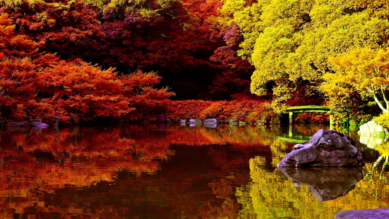 风景画, 性质, 反射, 落叶, 季节 壁纸 1280x720 允许