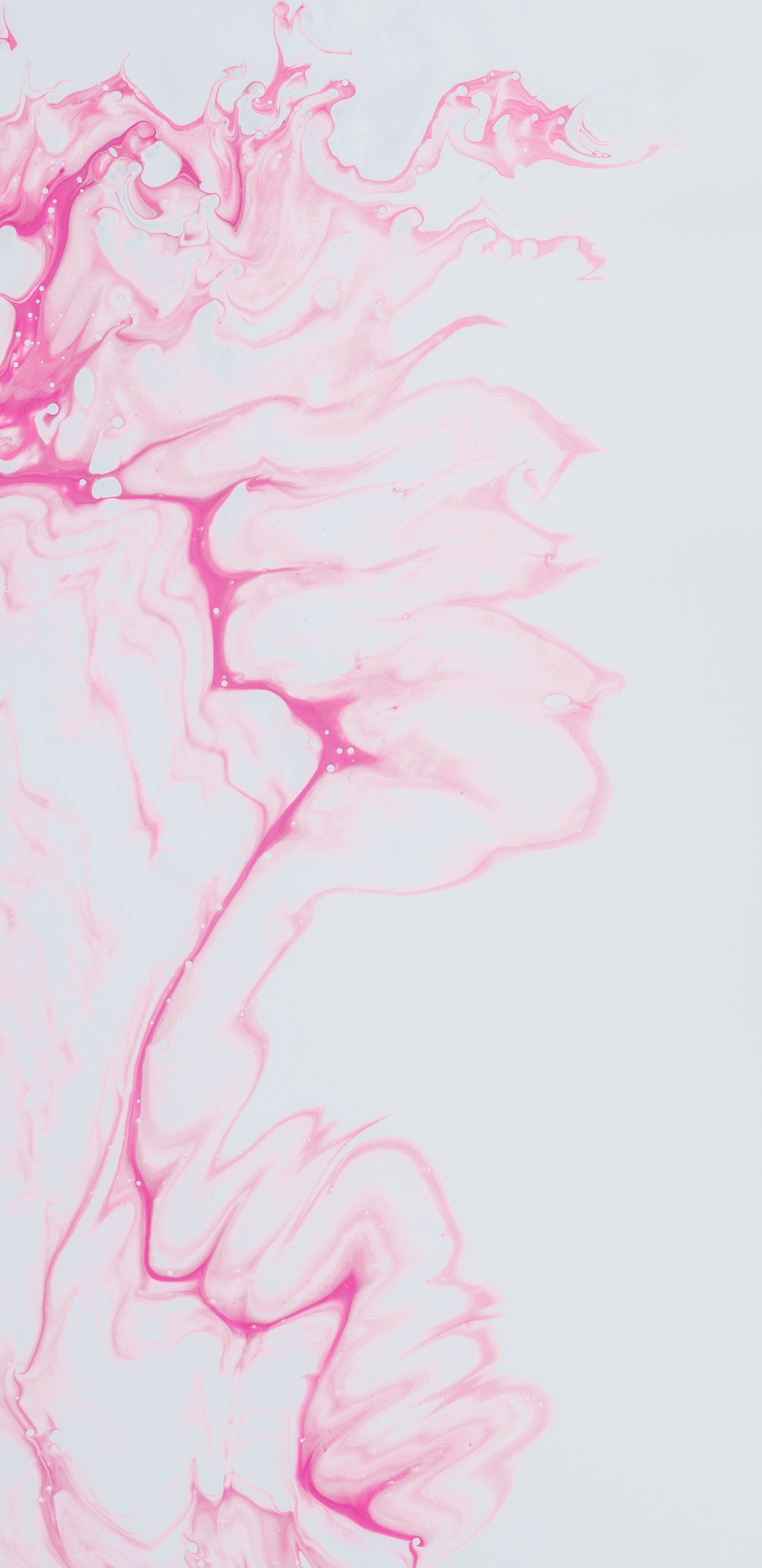 Pintura Abstracta Rosa y Blanca. Wallpaper in 1440x2960 Resolution