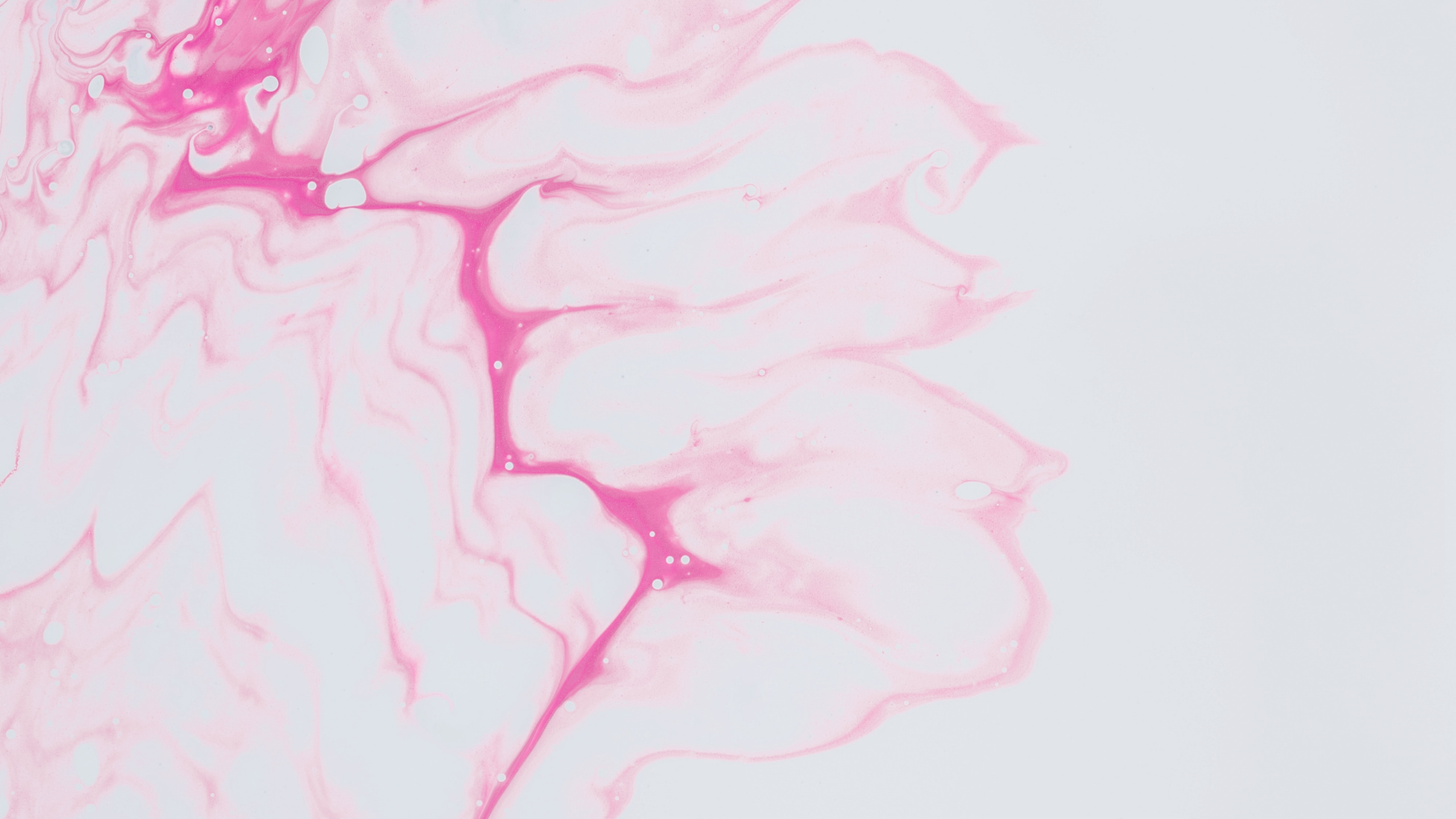 Pink and White Abstract Painting. Wallpaper in 2560x1440 Resolution