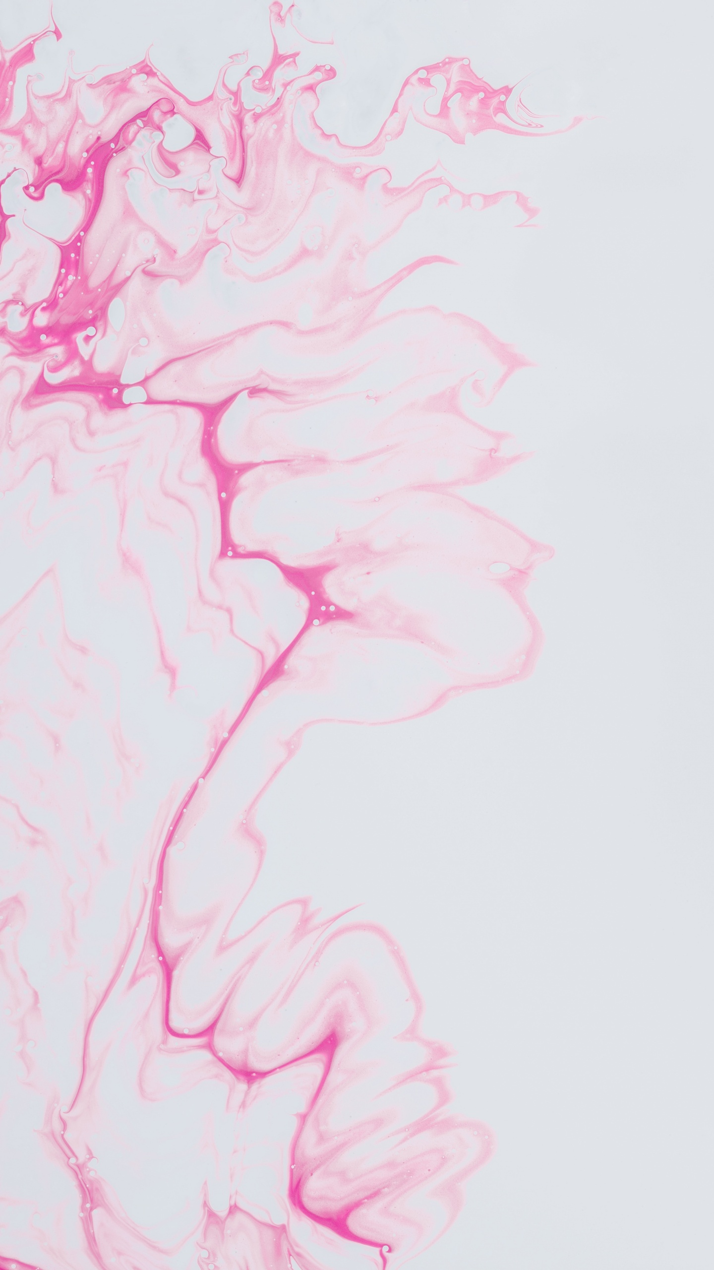 Peinture Abstraite Rose et Blanche. Wallpaper in 1440x2560 Resolution