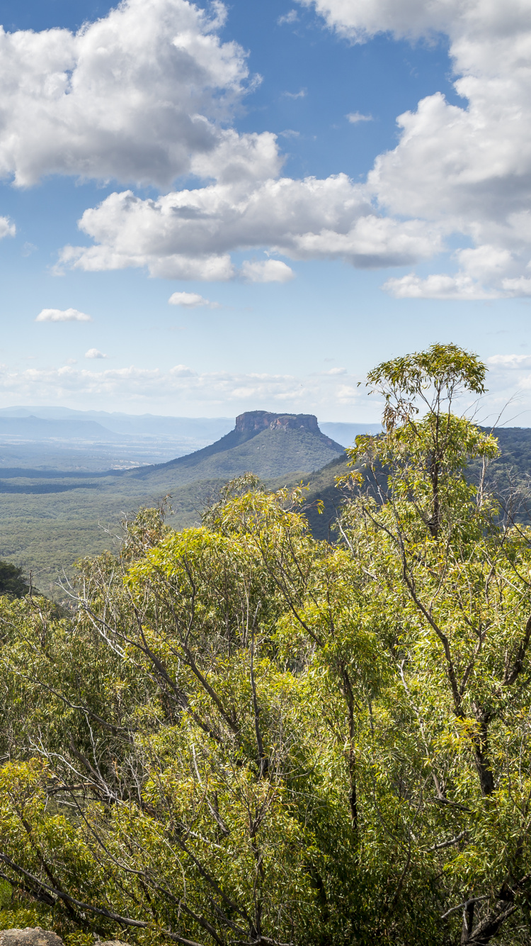 Árboles Verdes en la Montaña Bajo Nubes Blancas y Cielo Azul Durante el Día. Wallpaper in 750x1334 Resolution