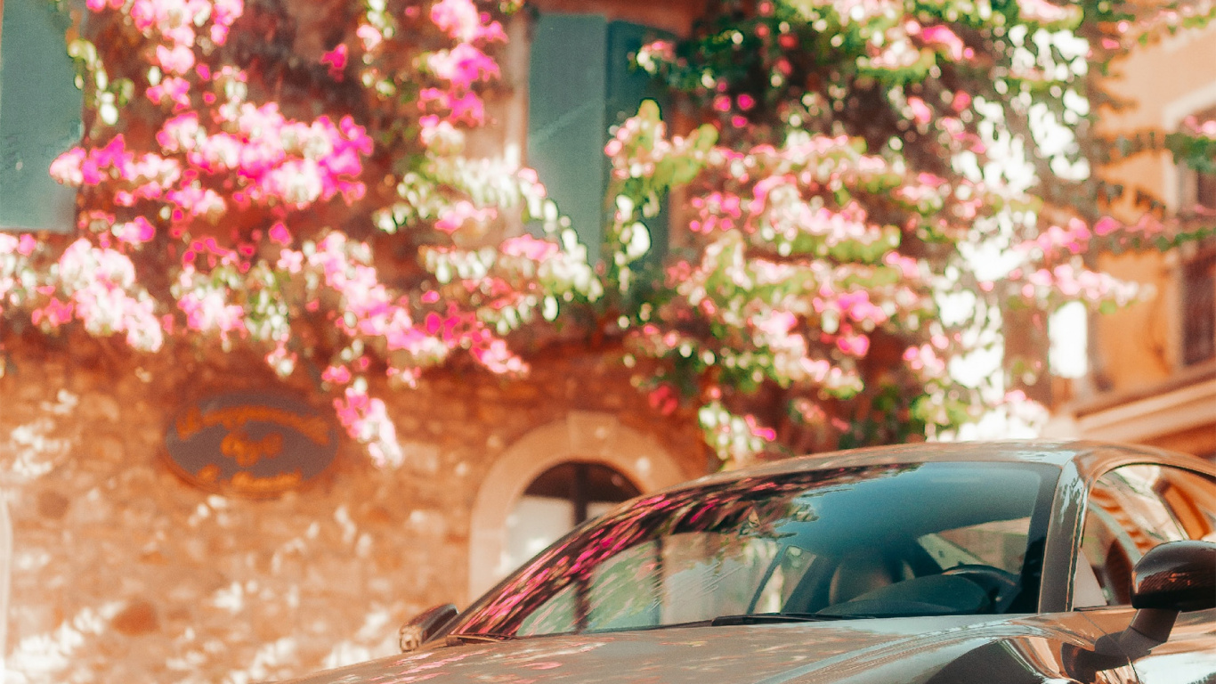 Audi R8, Car, Sportwagen, Audi, Tire. Wallpaper in 1366x768 Resolution