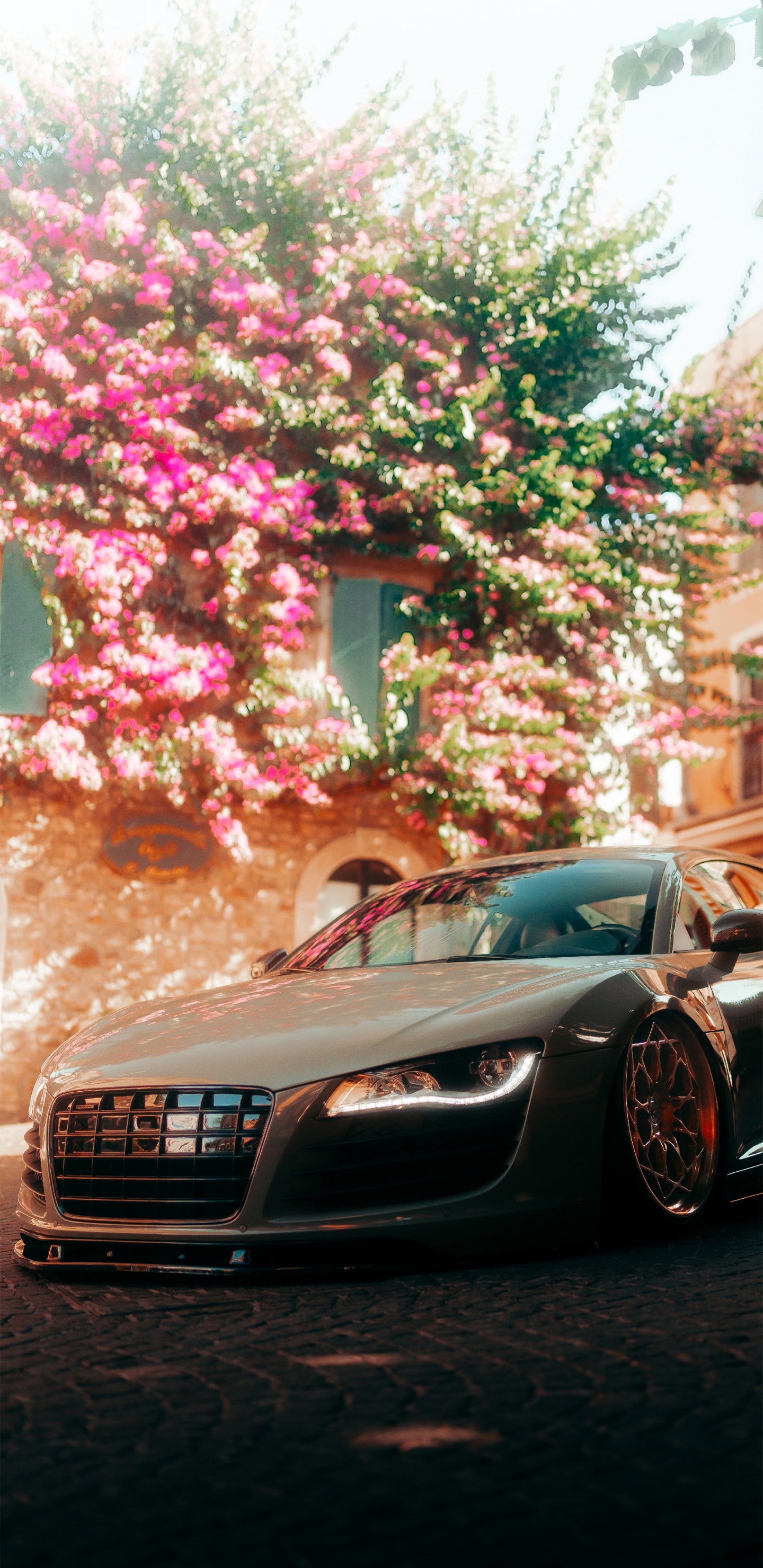 Audi R8, Cars, Sports Car, Audi, Tire. Wallpaper in 1440x2960 Resolution