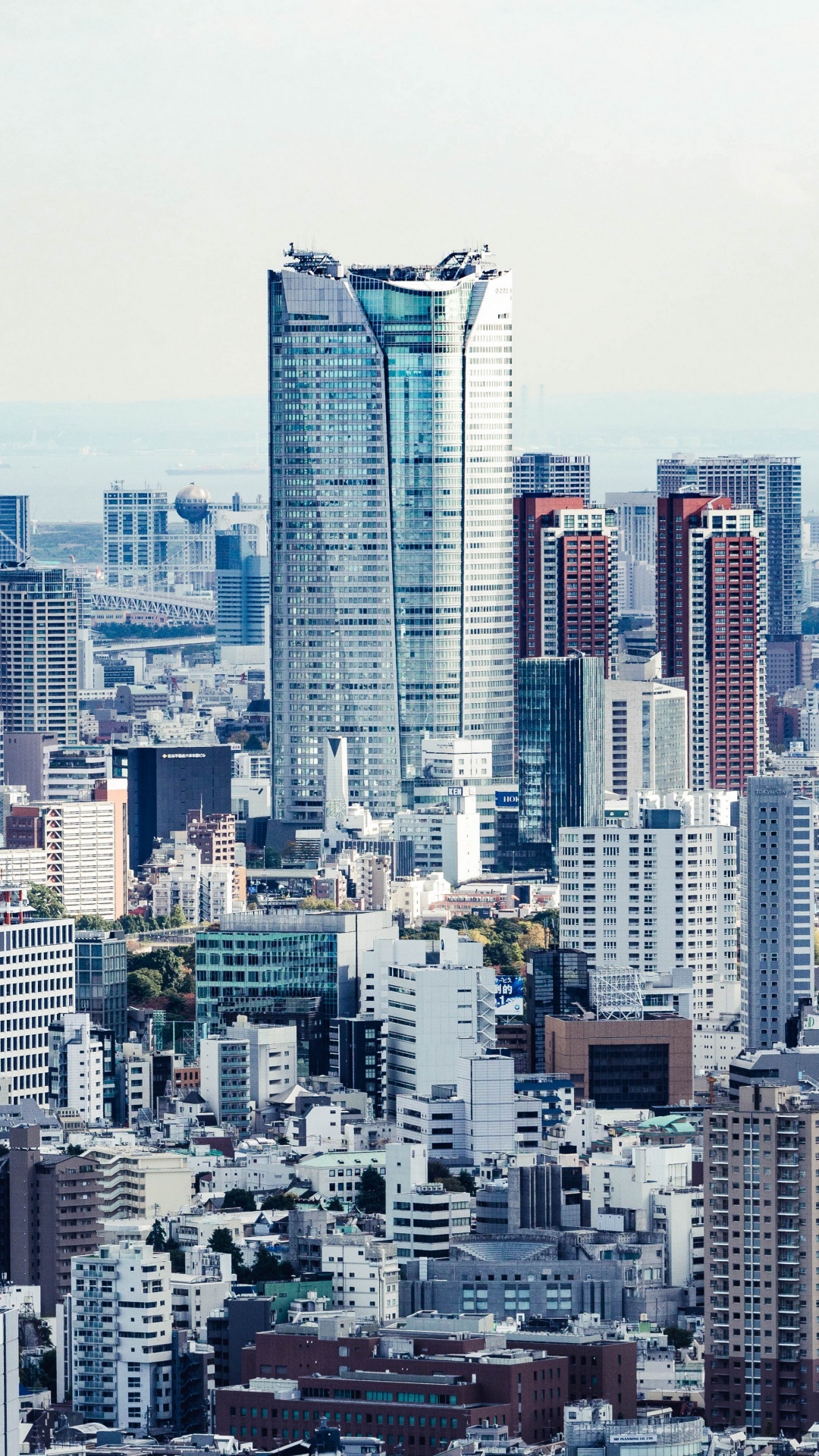 City Skyline Under White Sky During Daytime. Wallpaper in 1080x1920 Resolution