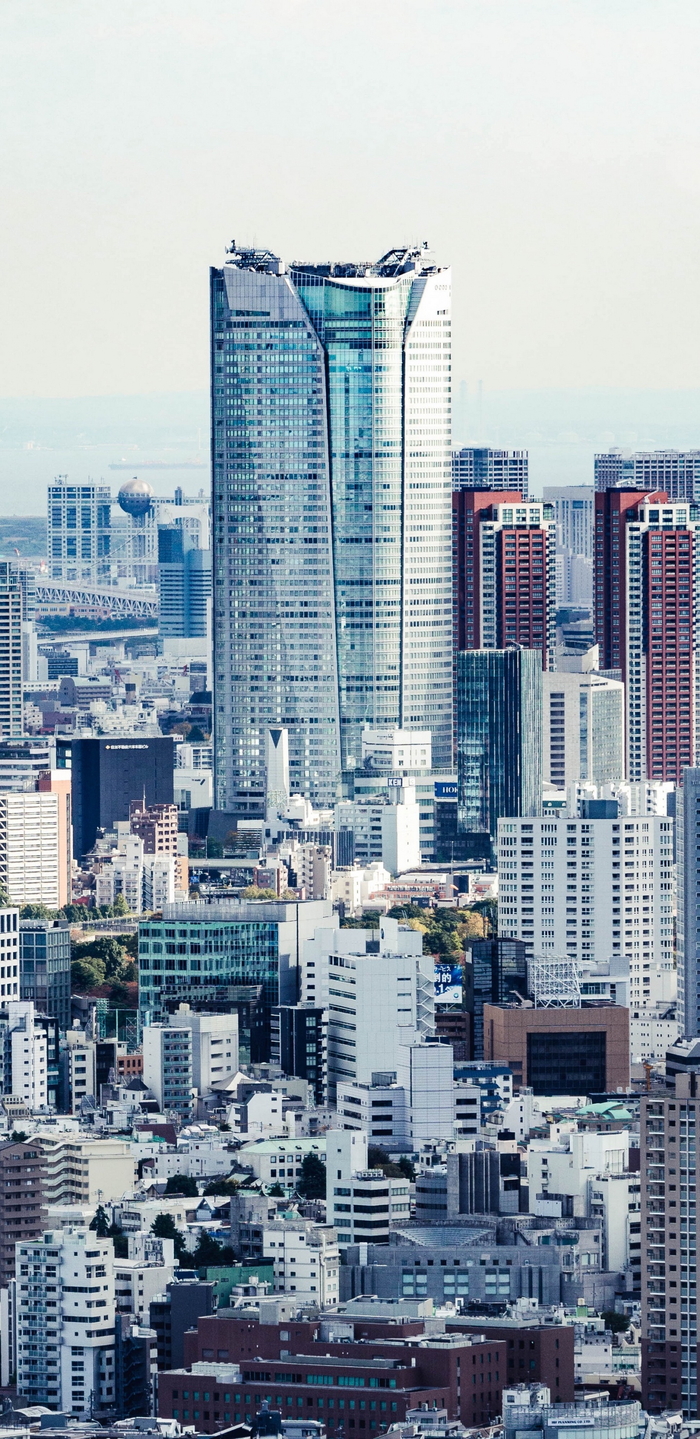 City Skyline Under White Sky During Daytime. Wallpaper in 1440x2960 Resolution