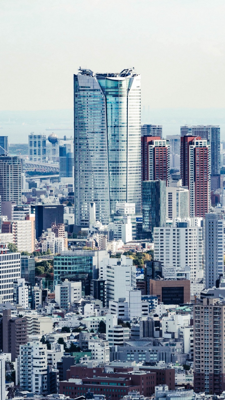 City Skyline Under White Sky During Daytime. Wallpaper in 720x1280 Resolution