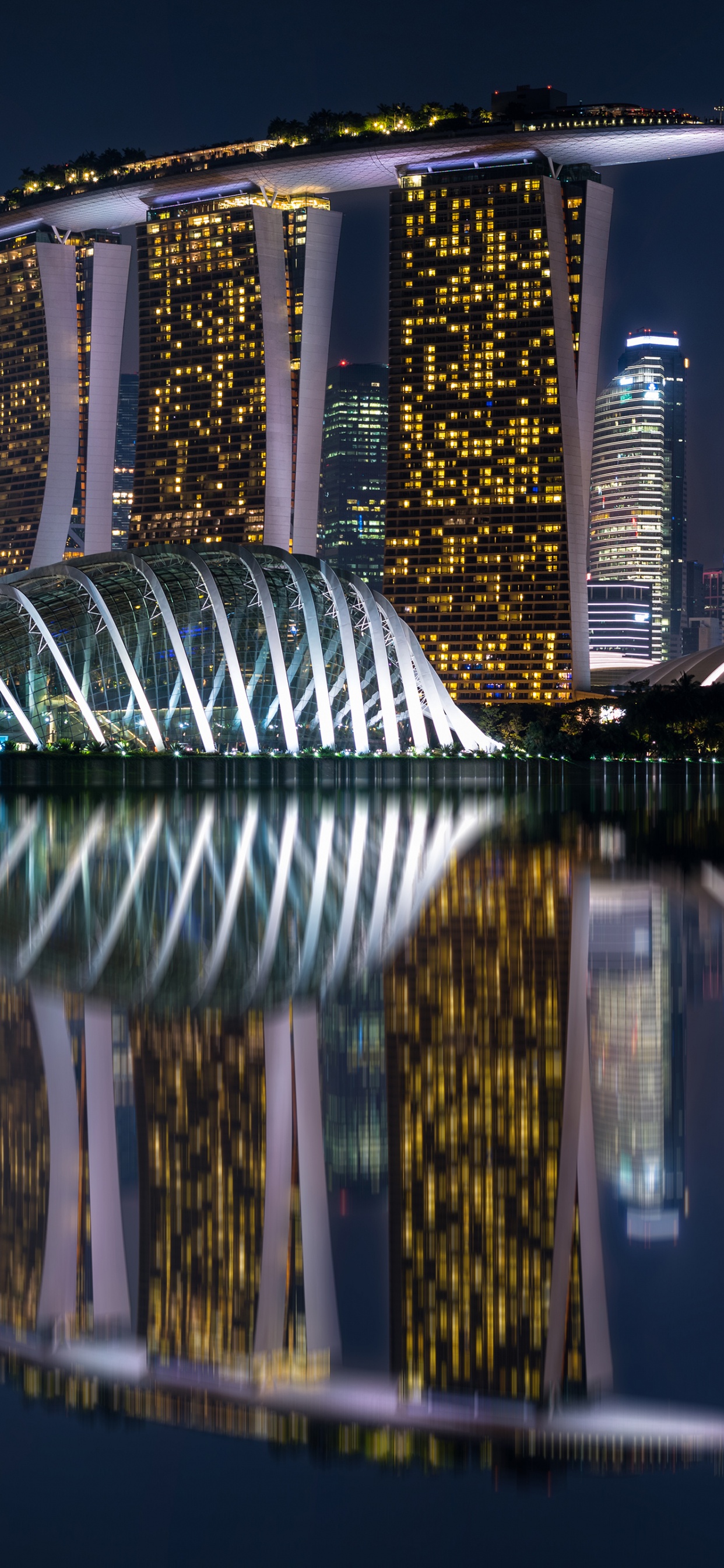 Cuerpo de Agua Cerca de un Edificio de Gran Altura Durante la Noche. Wallpaper in 1242x2688 Resolution