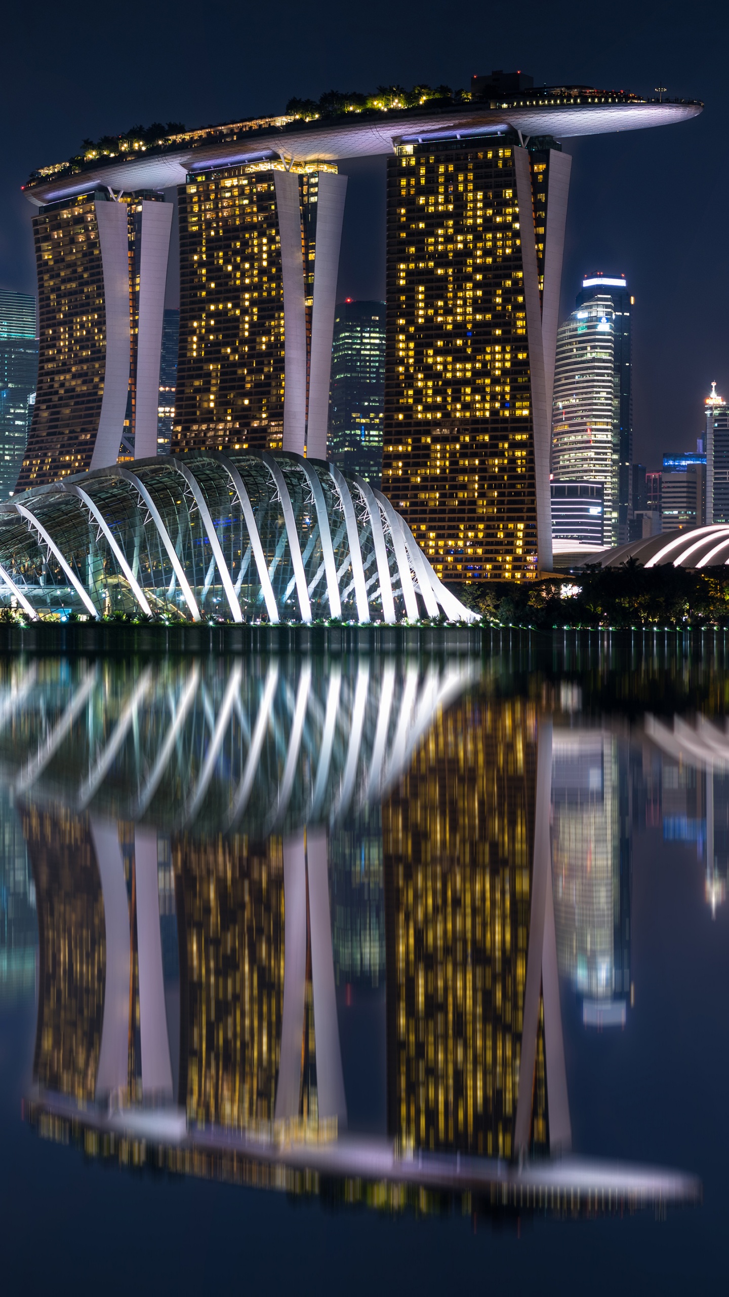 Cuerpo de Agua Cerca de un Edificio de Gran Altura Durante la Noche. Wallpaper in 1440x2560 Resolution