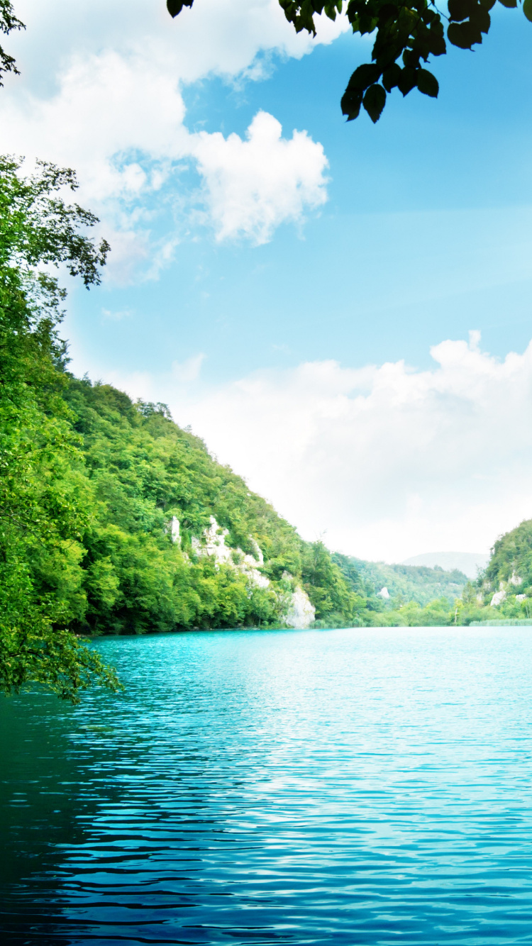 Paisaje Natural, Los Recursos de Agua, Naturaleza, Cuerpo de Agua, Verde. Wallpaper in 750x1334 Resolution