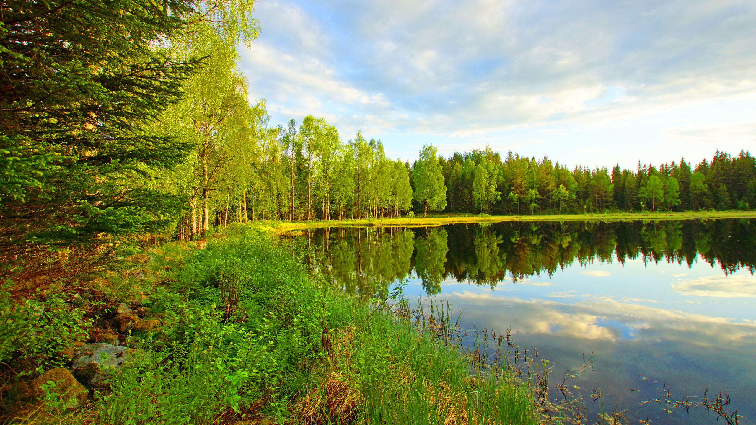 Grüne Bäume Neben Dem Fluss Unter Blauem Himmel Tagsüber. Wallpaper in 2560x1440 Resolution