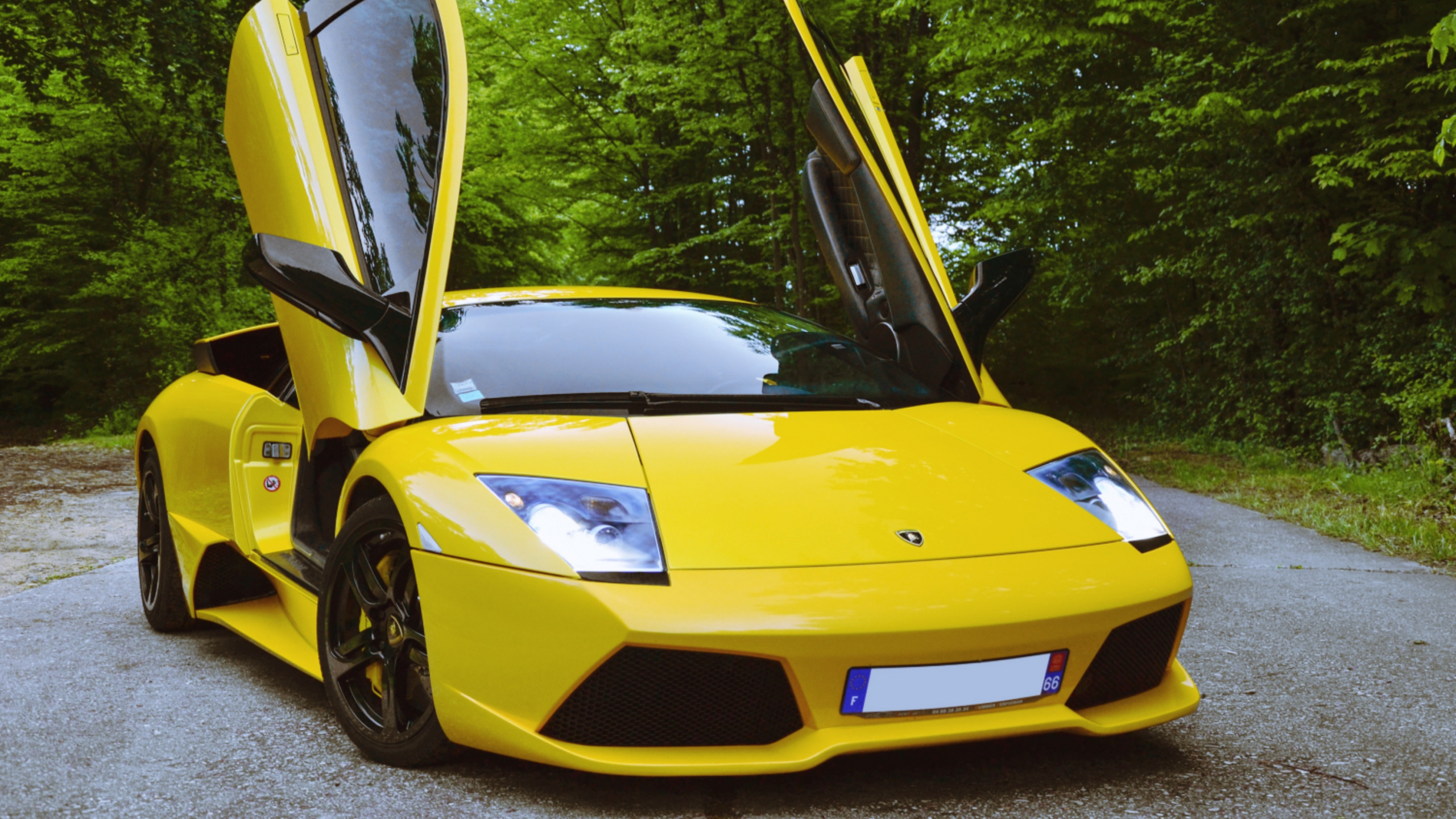 Yellow Ferrari 458 Italia Parked Near Green Trees During Daytime. Wallpaper in 2560x1440 Resolution