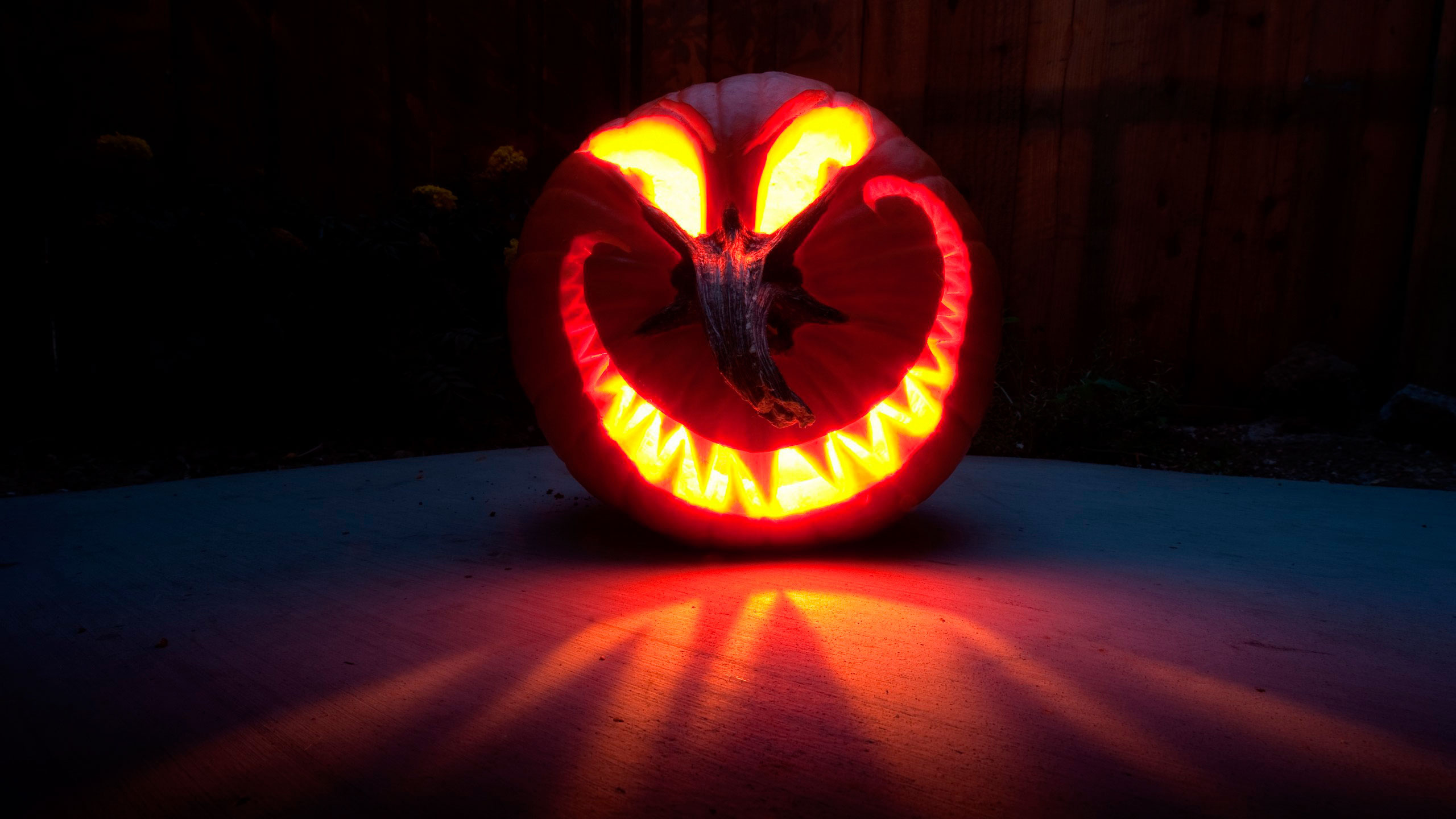 Halloween, Calabaza, Talla, Luz, Apple. Wallpaper in 2560x1440 Resolution