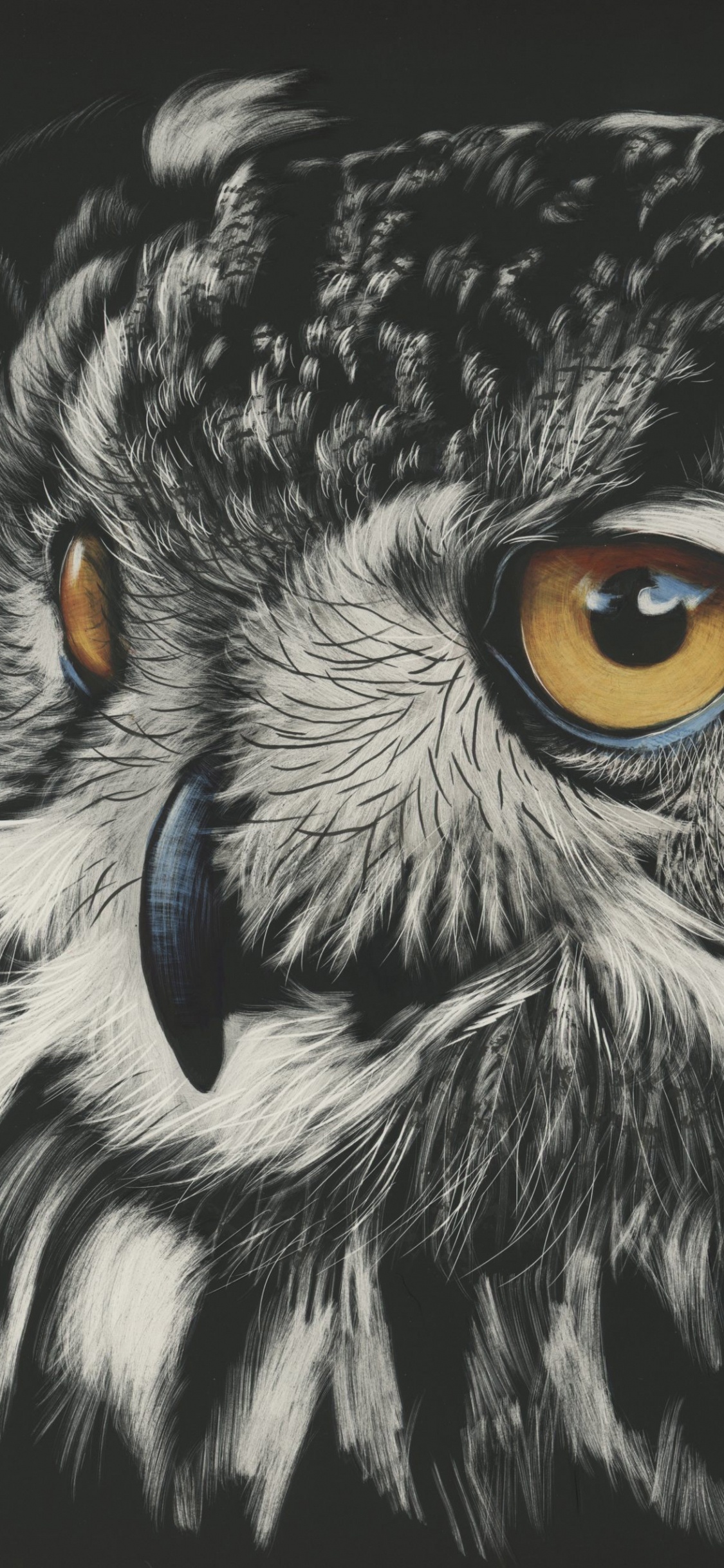 Peinture de Hibou Noir et Blanc. Wallpaper in 1125x2436 Resolution