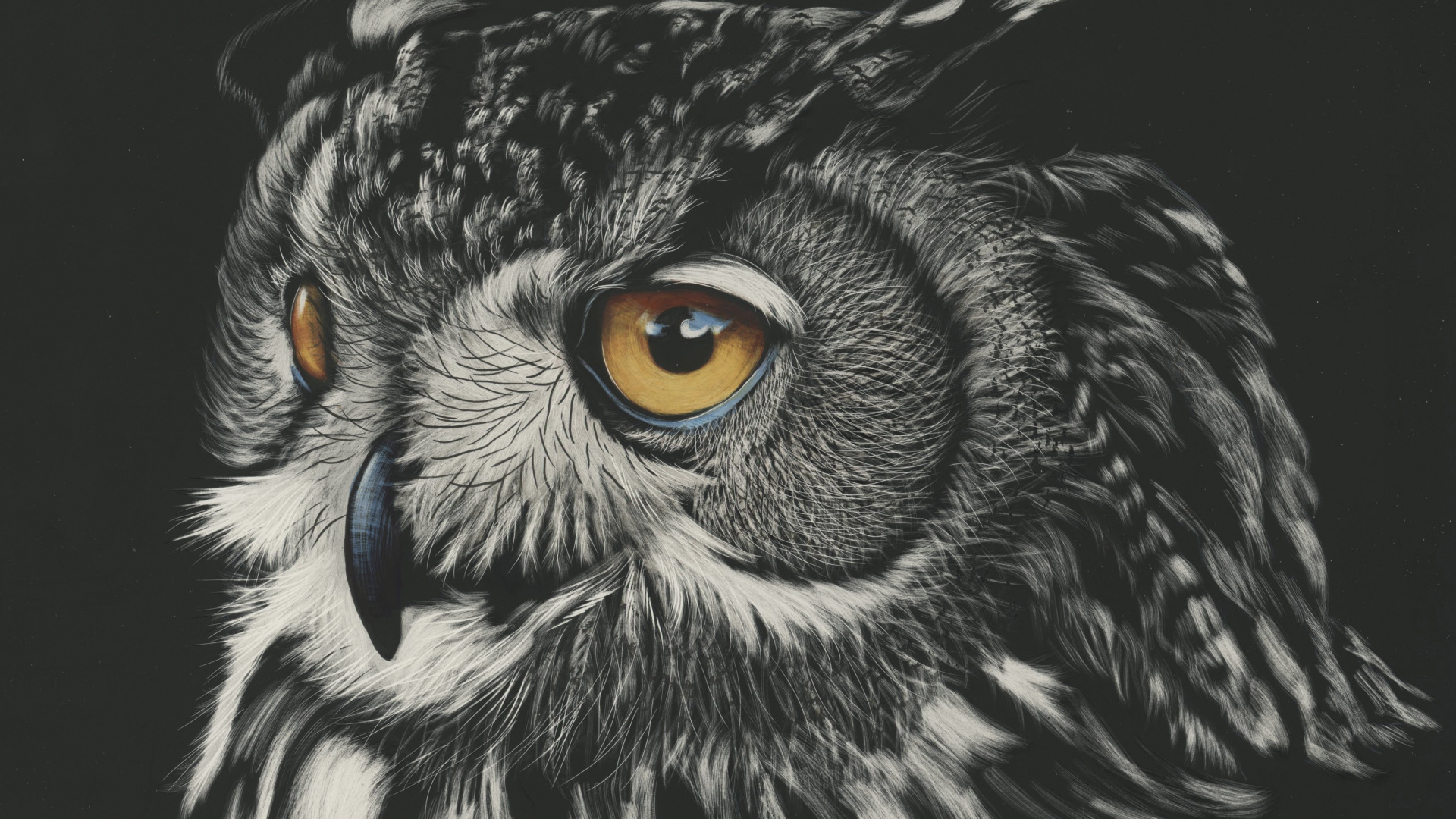 Peinture de Hibou Noir et Blanc. Wallpaper in 1920x1080 Resolution