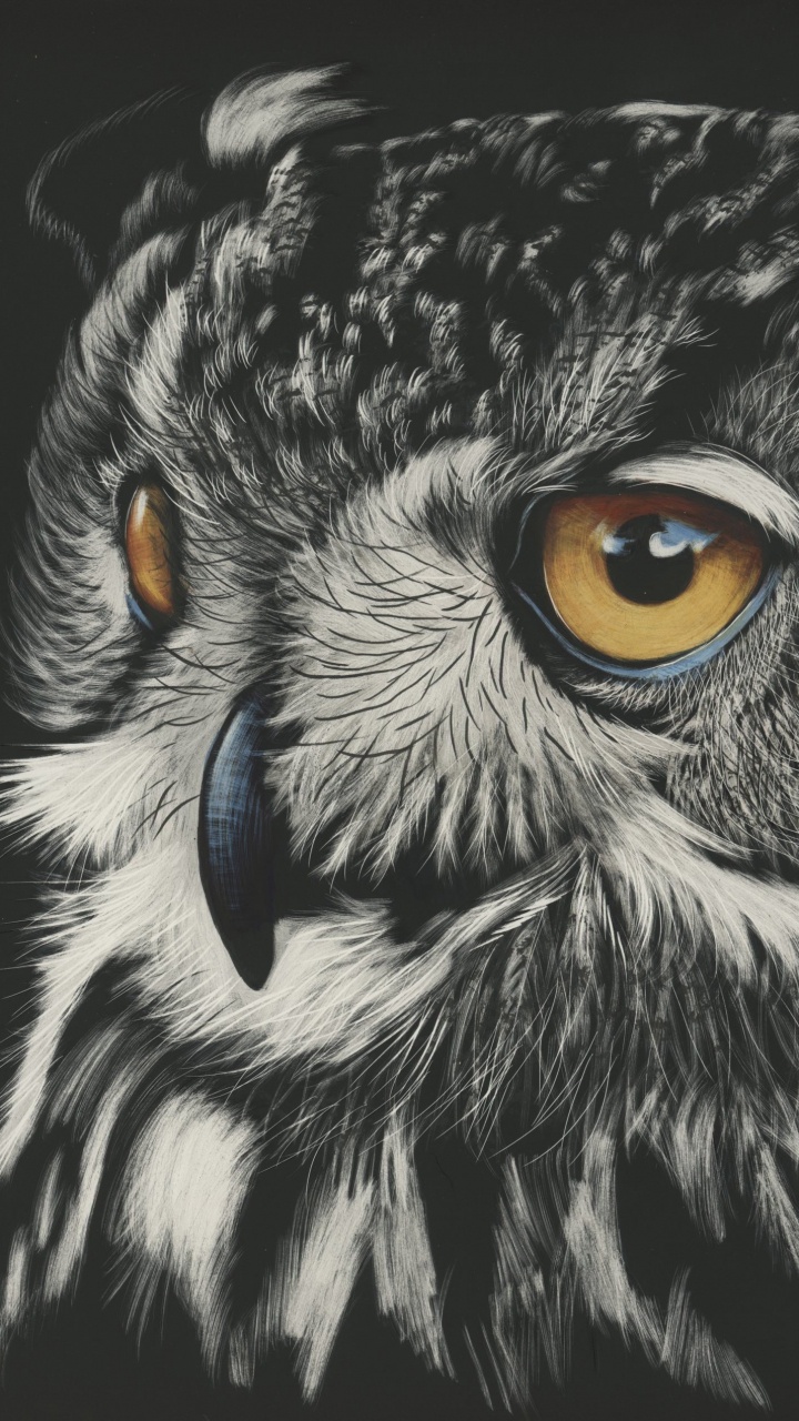 Peinture de Hibou Noir et Blanc. Wallpaper in 720x1280 Resolution