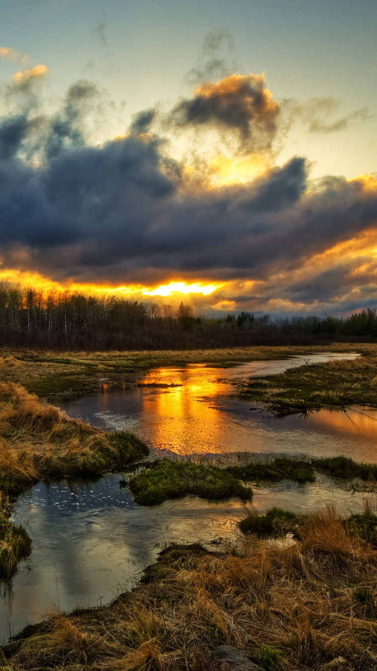 Braunes Gras in Der Nähe Von Gewässern Unter Blauem Himmel Tagsüber. Wallpaper in 750x1334 Resolution