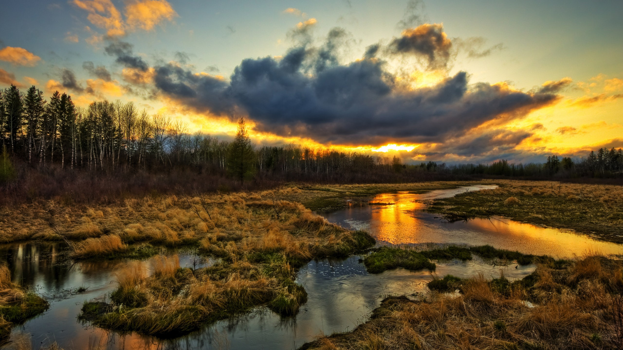 Brown Grass Near Body of Water Under Blue Sky During Daytime. Wallpaper in 1280x720 Resolution