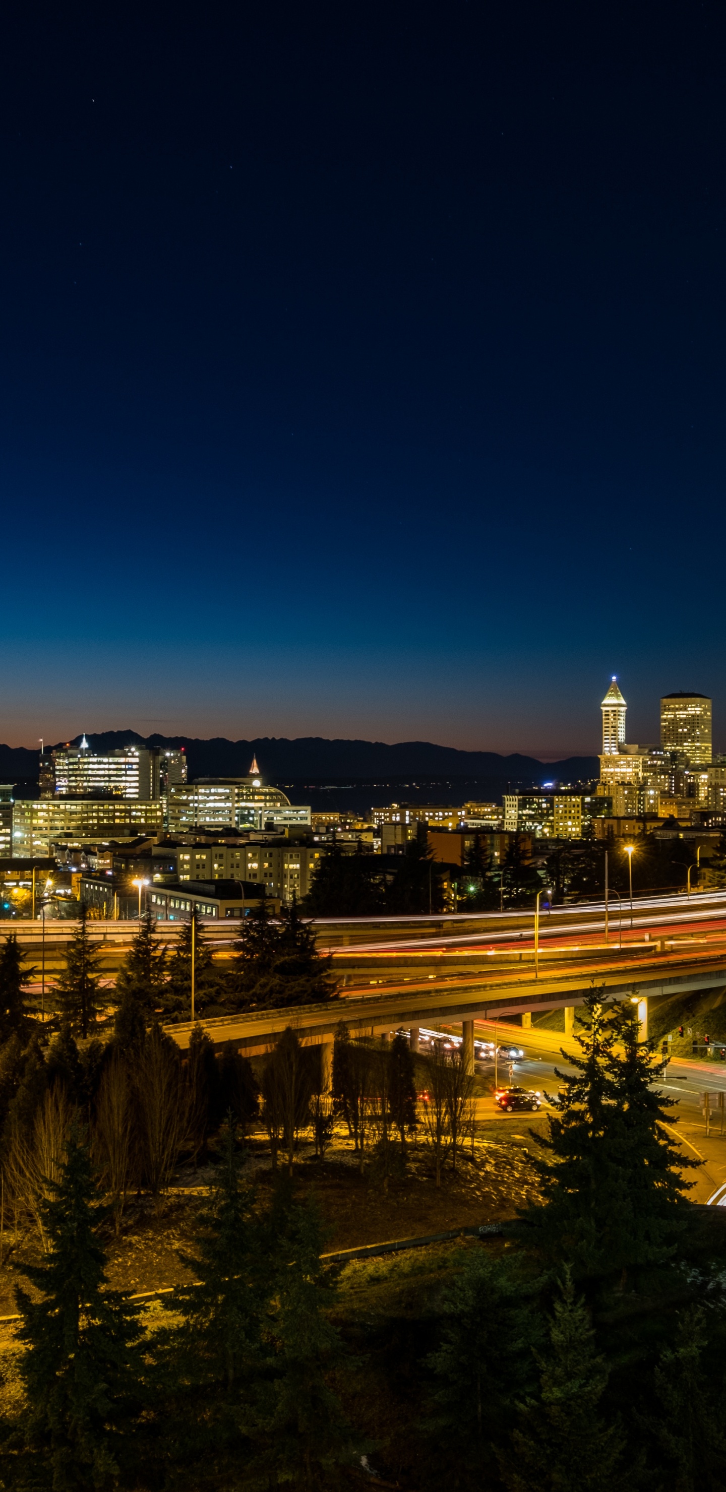 City Lights During Night Time. Wallpaper in 1440x2960 Resolution