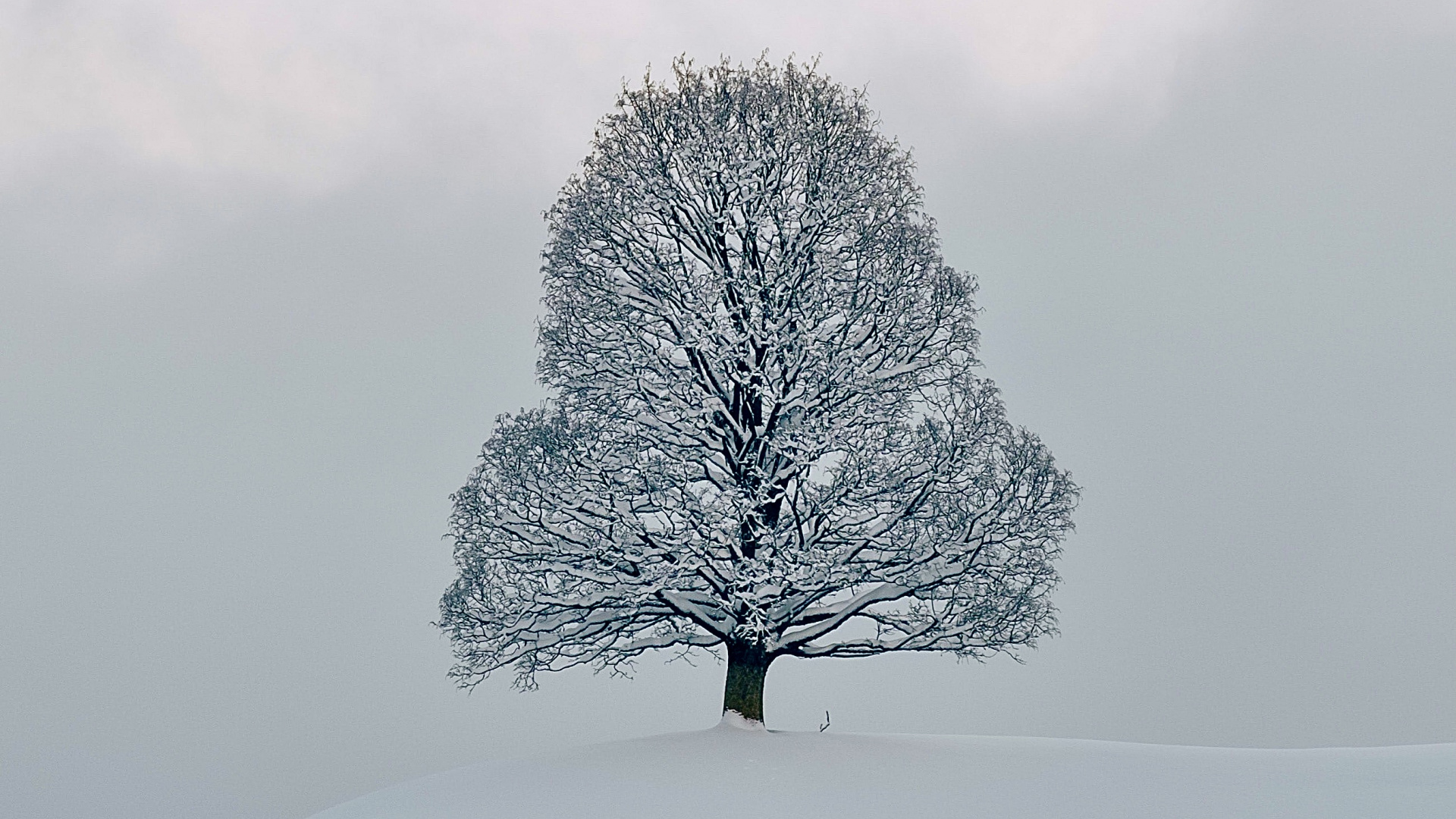 Nieve, Congelación, Invierno, la Química, Paisaje Natural. Wallpaper in 1920x1080 Resolution